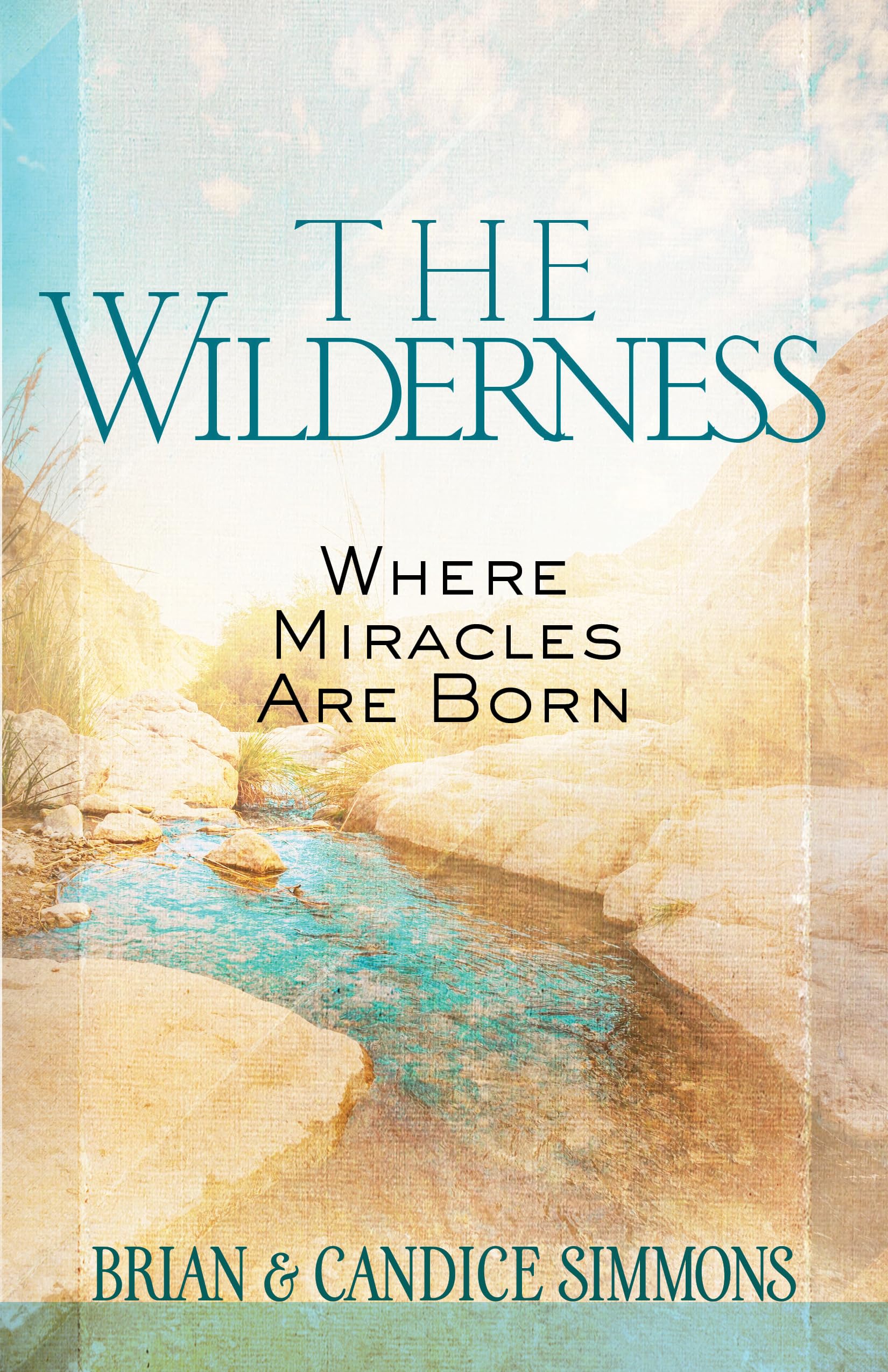 The Wilderness Where Miracles are Born by Brian Dr Simmons PAPERBACK