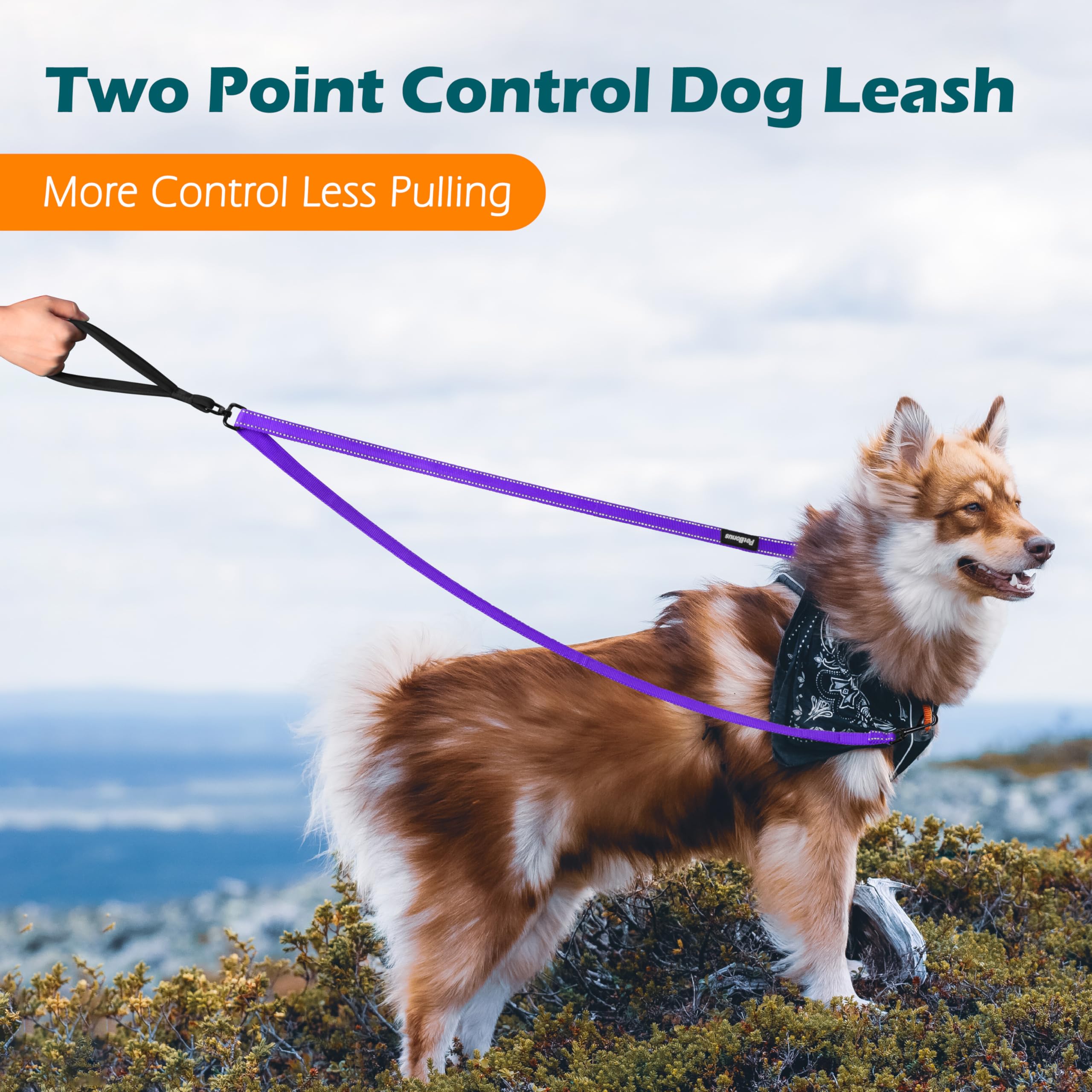PetBonus Two Point Control Dog Lead, Works with No Pull Harnesses, No Tangle Training Leads - Image 2