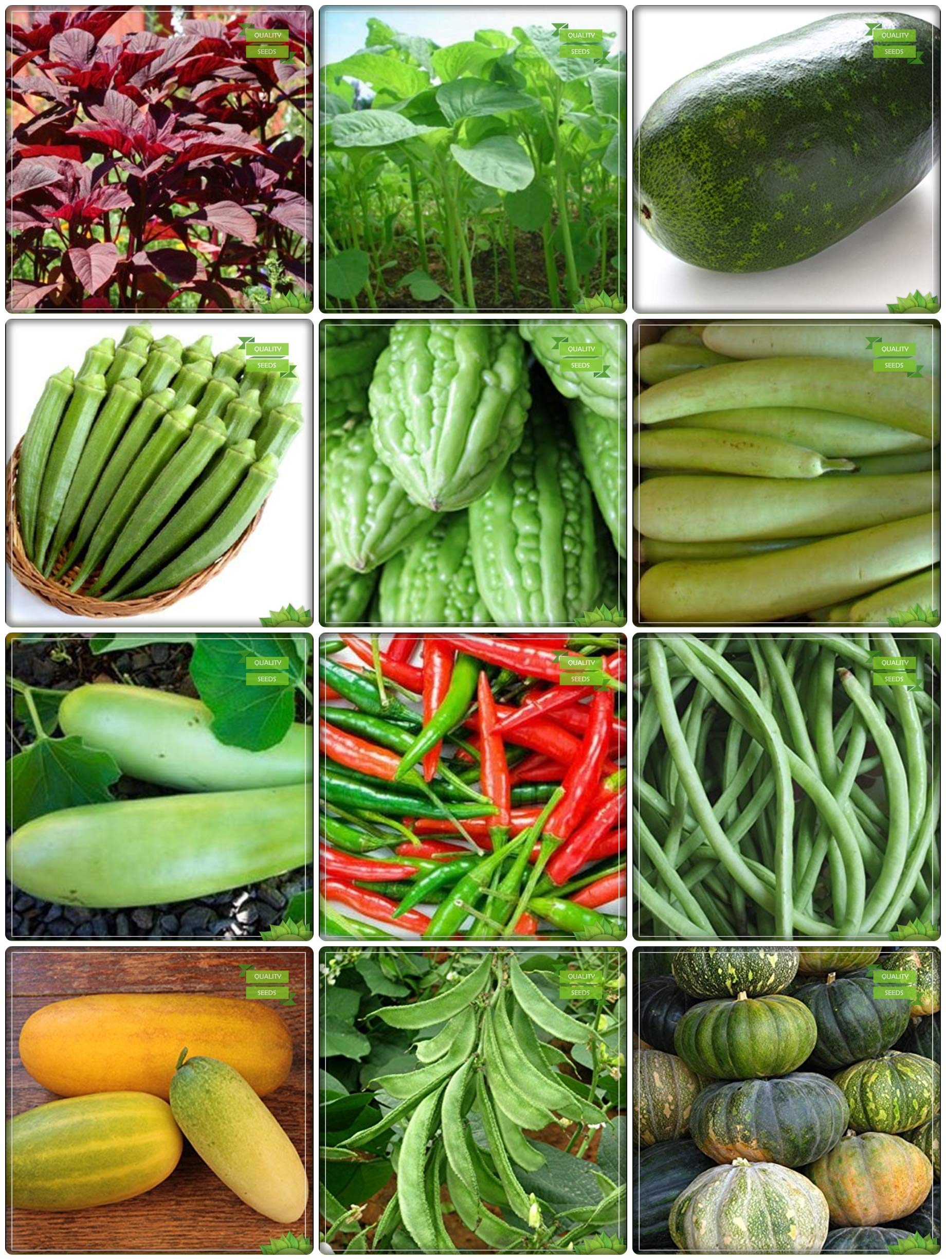 Creative Farmer Seeds Online India Combo Vegetable Seeds : Amaranthus(Red), Amaranthus(Green), Ashgourd, Bhindi (Arka Anamika), Bittergourd and Others -7 Packs (B07HV5QMKZ) Amazon Price History, Amazon Price Tracker