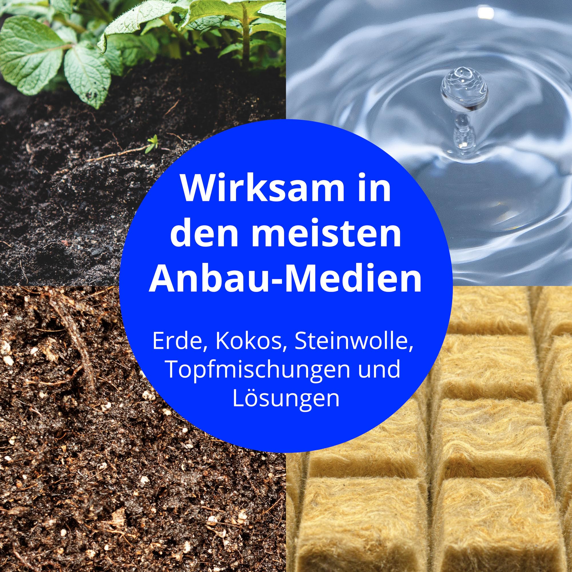 Bluelab PENSOILPH Soil pH-Pen, Digitales Messgerät und Wasser-Test-Kit, auch für Kokos und Rockwool mit einfacher Kalibrierung für Hydroponik-System und Indoor-Grow, klar