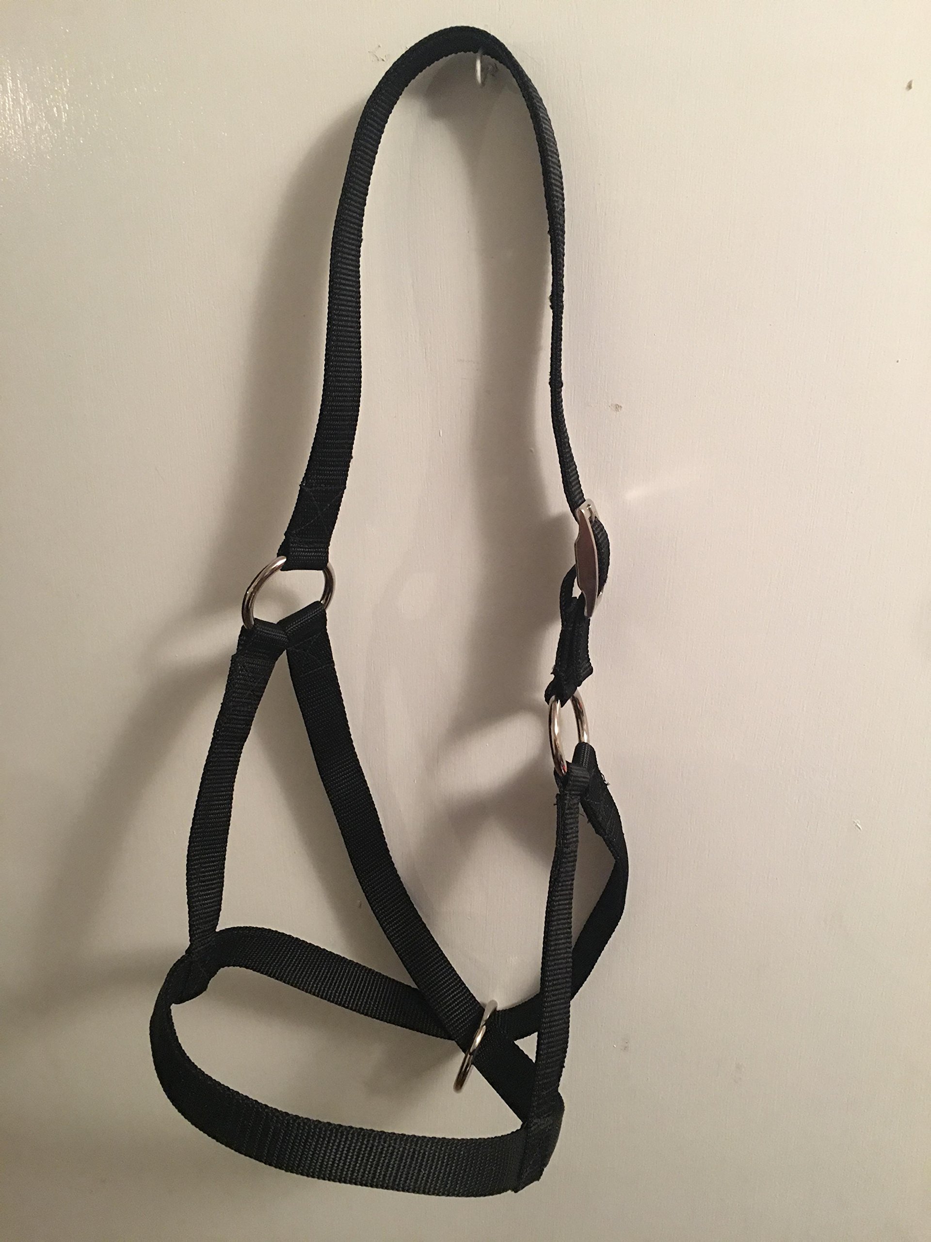 Amazon.com: Carter Pet Supply Cow, Bull, Yearling, Calf Newborn Halter USA  Hand Made (Newborn, Black) : Sports & Outdoors