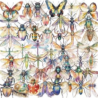 스크랩북용 투명 PET 곤충 미학 스티커 50개, 저널링, 정크 저널 스크랩북 용품, 레진 공예 장식용 방수 투명 벌레 데칼 (곤충)