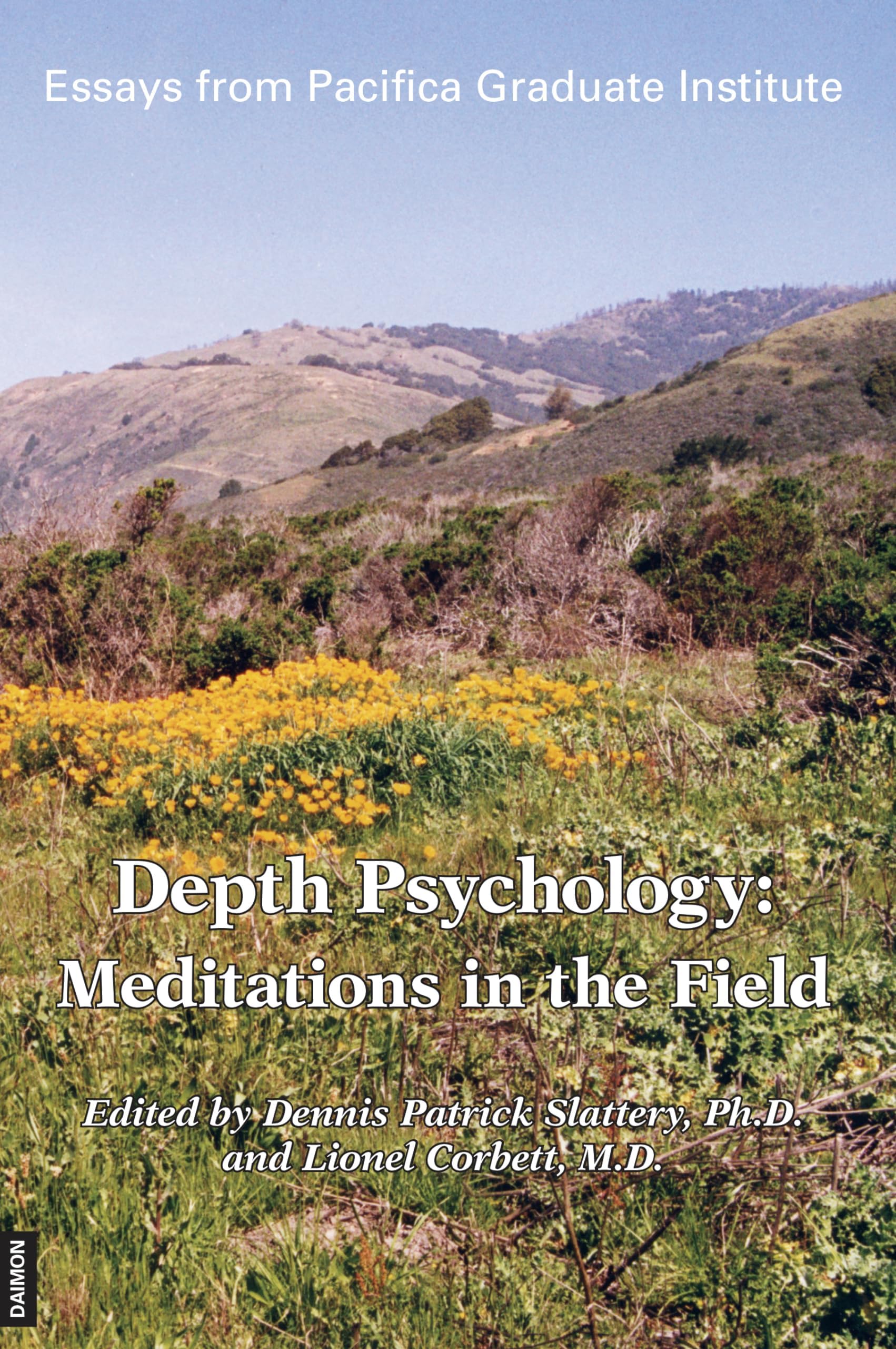 Depth Psychology, 2nd Edition: Meditations in the Field