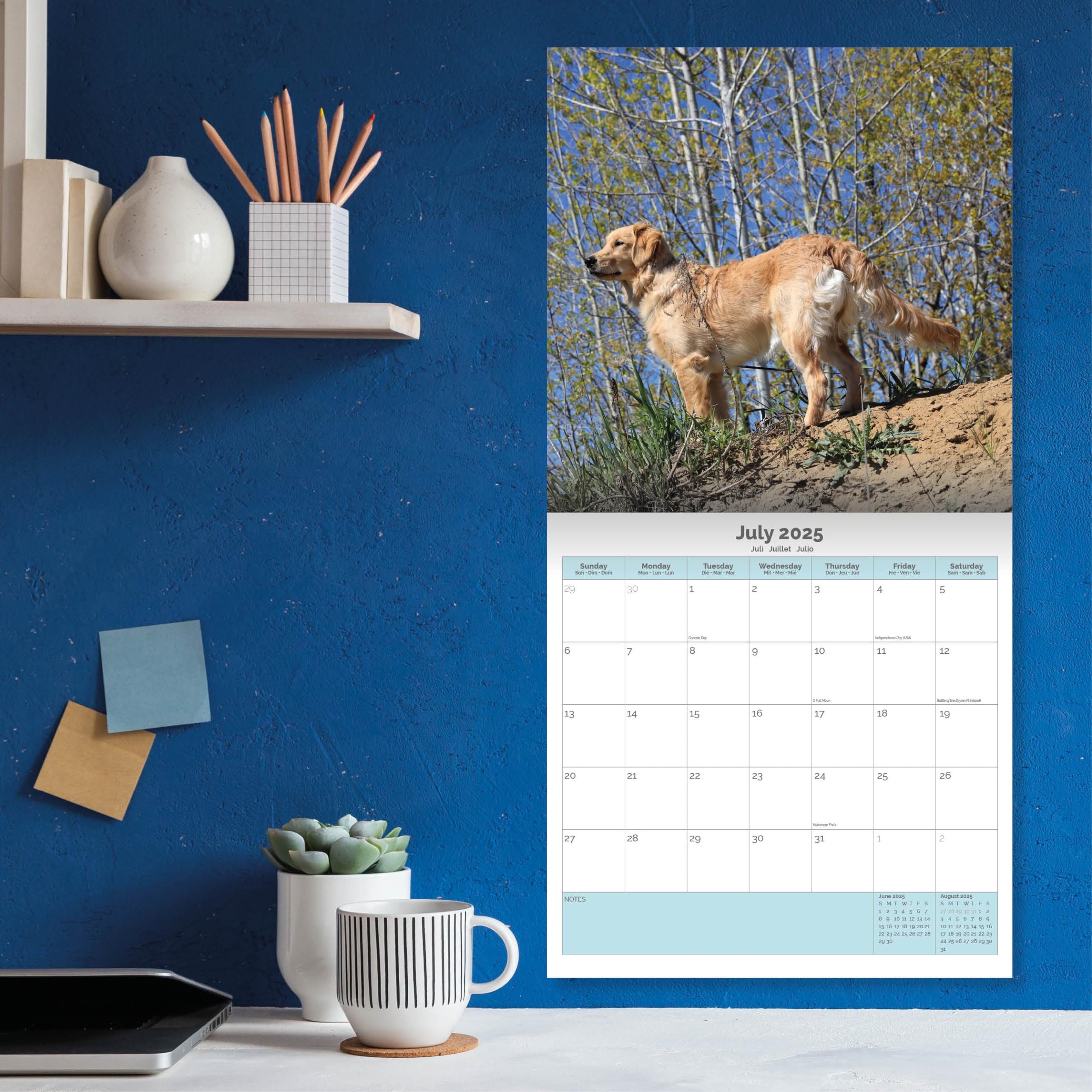 Baker and Bray Golden Retriever Calendar 2026, Large Square Wall Calendar With Organisational Stickers, 16 Month - Image 4