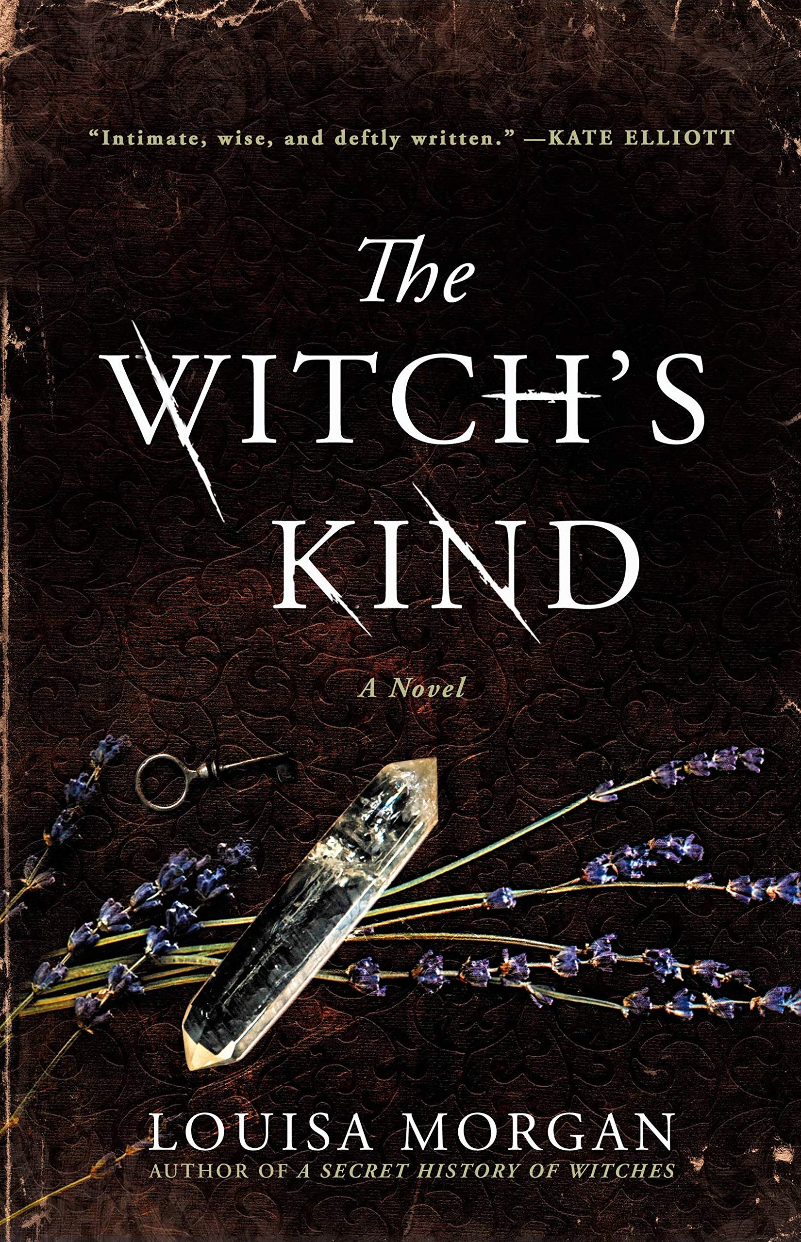 Buy The Witch's Kind: A Novel — BookShops.in
