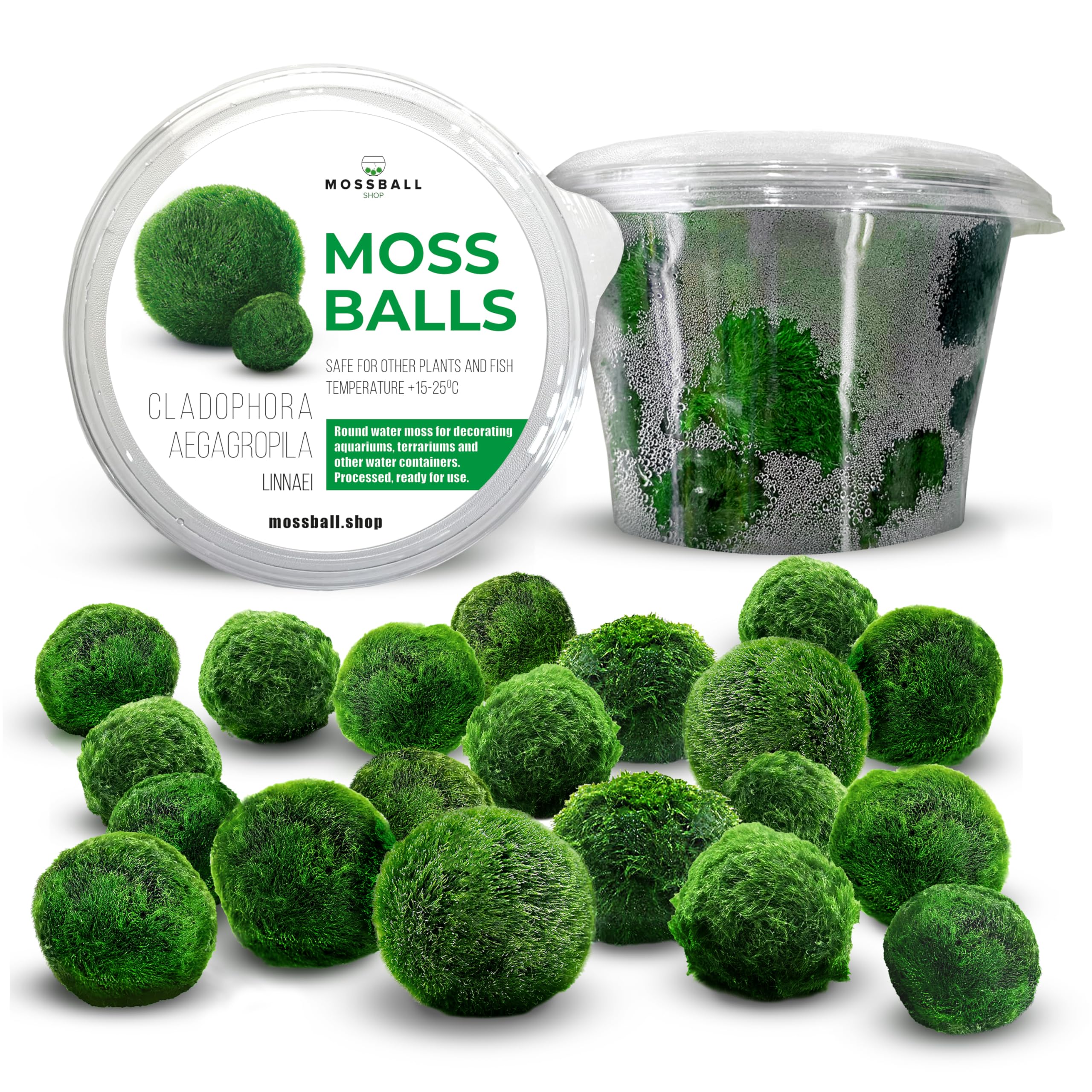 20 + 1 szt. kule mchu akwarium Cladophora aegagropila linneiae mech rośliny akwariowe rośliny wodne dekoracja rośliny prawdziwe marimo piłki mchu akwarium marimo moosball (1-3 cm)