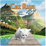 Cat Run