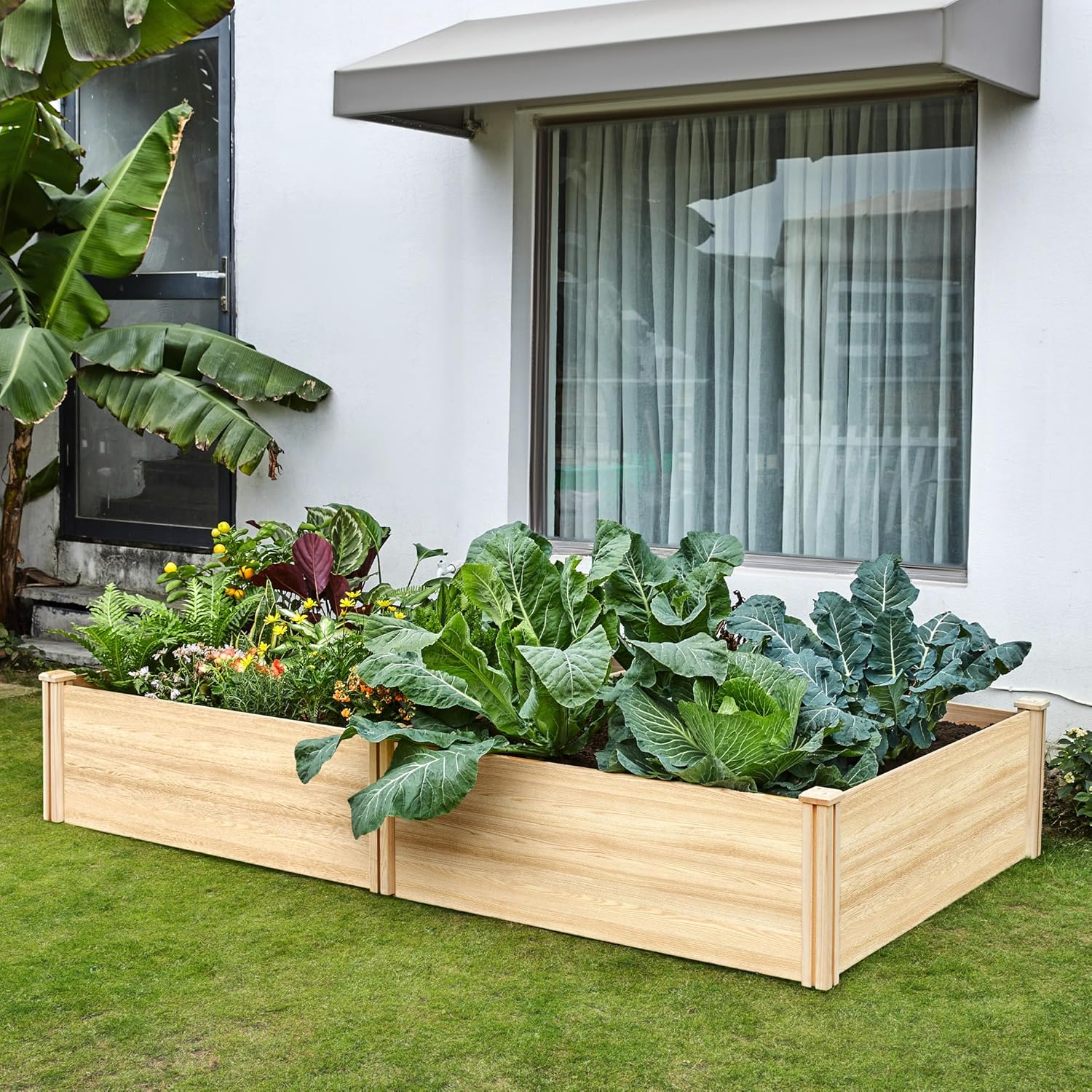 SPECRAFT 15 Inch Depth 8x4 FT Deep Wooden Raised Garden with Open Base, Extra Large Planter Box for Deep-Rooted Plants, Ideal for Outdoors, Patio, Backyard