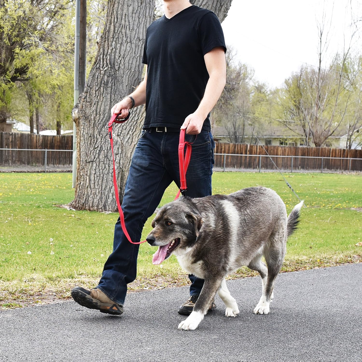 Wagtime Club Soft and Thick Double Handle Premium Nylon 4FT x 3/4 in Leash - Dual Neoprene Padded Handles for Ultimate Comfort and Control - for Medium to Large Dogs (Carnation Red)