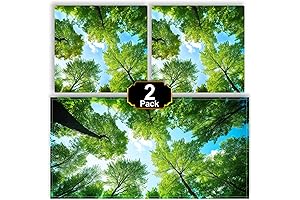 Fluorescent Ceiling Light Covers For Classroom