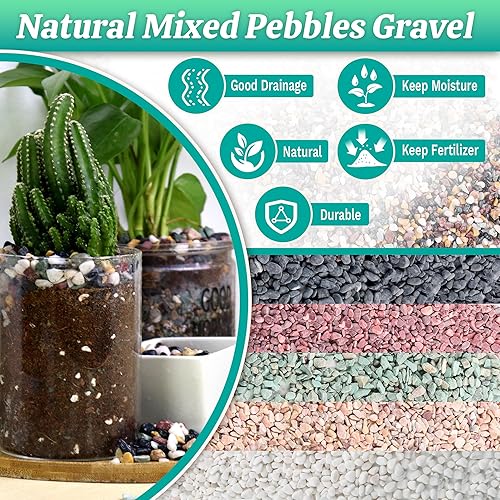 Miniatura 1 de Grava de acuario para plantas, grava de tanque de peces de 7 libras para suculentas cactus y bonsái, rocas decorativas de río de 14 de pulgada para