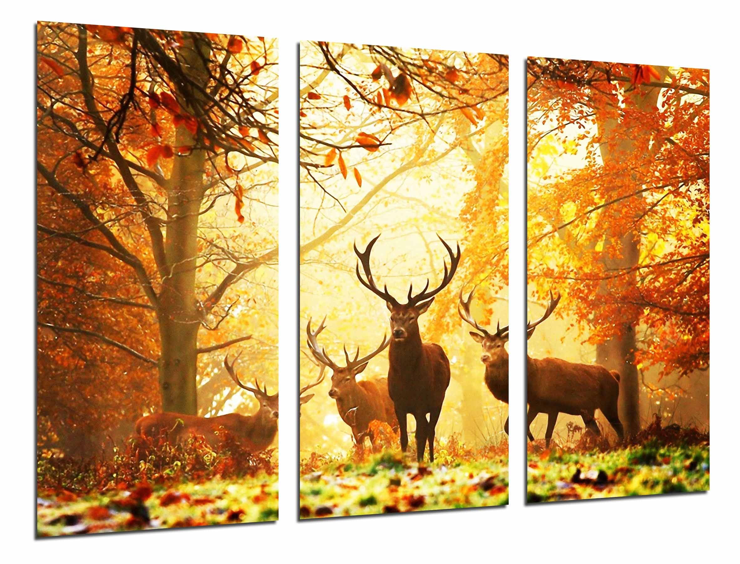 Cuadros Camara Quadro su Legno, Cervo Animale in Natura, Paesaggio Autunnale, 97 x 62cm, Stampa in qualita Fotografica. Ref. 26780