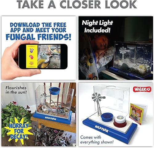 Miniatura 103 de Prank Pack - Caja de regalo para bromas de red de cabeza Noggin Net, envuelve tu regalo real en una divertida y auténtica caja de regalo, caja