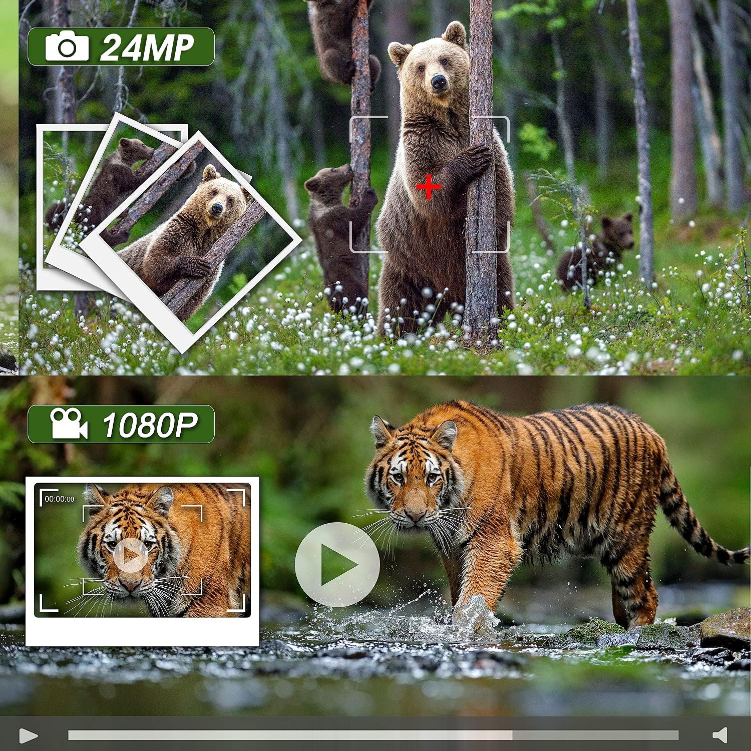 Free Shipping Offer 20MP Trail Camera 1080P Full HD Game Camera Night Vision 120° Wide Angle 0.2s Trigger Time Trail Cam with 3 Infrared Sensors Waterproof IP65
