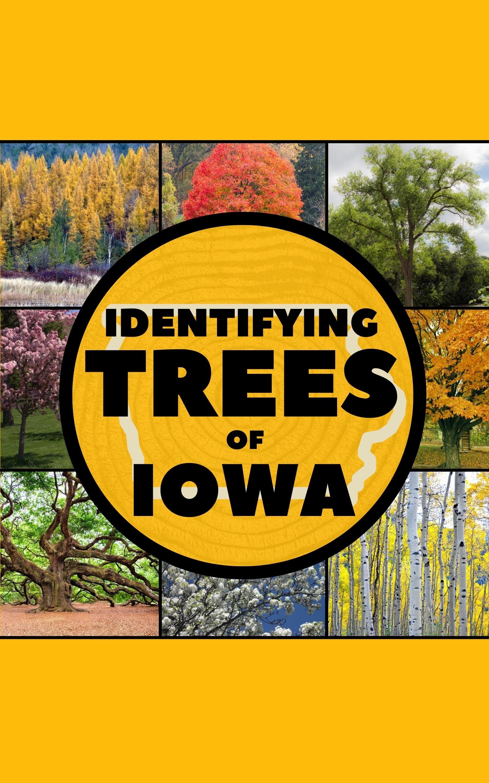 Buy Identifying Trees of Iowa A Simple Identification Guide Book To