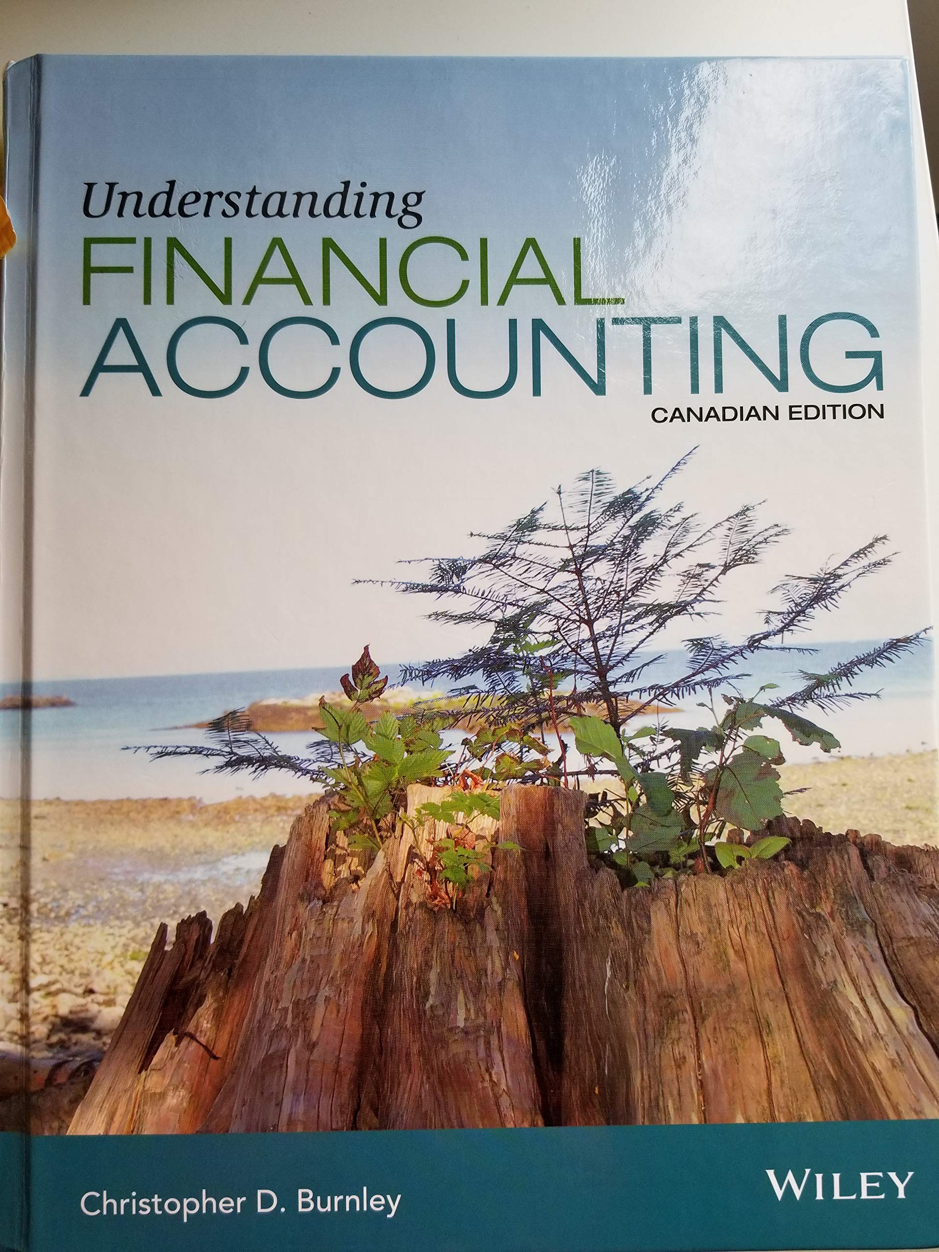 Understanding Financial Accounting (Canadian Edition): Burnley