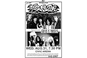 Innerwallz Guns N' Roses Retro Art Print Poster