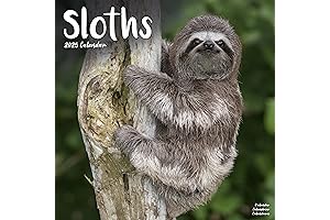 2022 Sloth Wall Calendar