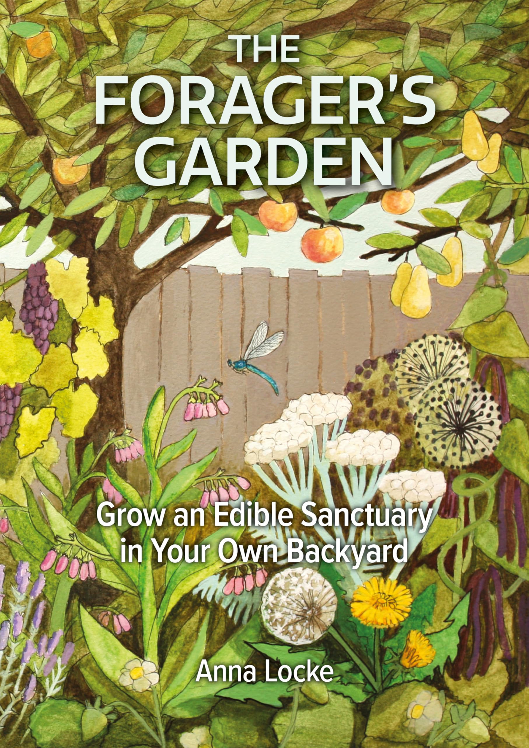 The Forager's Garden - Grow an Edible Sanctuary in your own Backyard