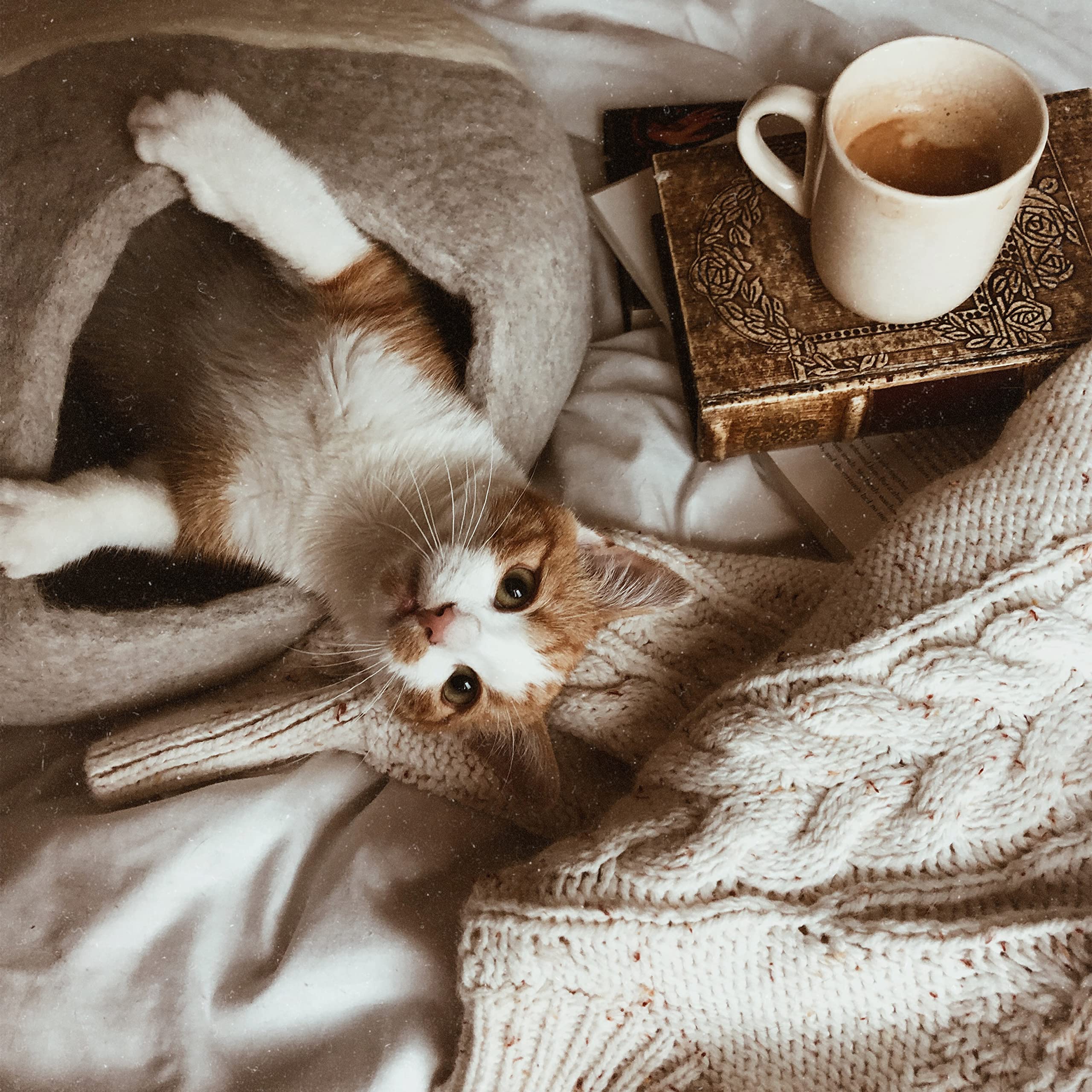 LucyBalu® Pebble Filzhöhle für Katzen I Katzenbett & Kuschelhöhle aus 100% Schurwolle I handgefertigt in Nepal I Naturstein-Optik, atmungsaktiv & geruchsneutral I Ø 45 cm I Hellgrau
