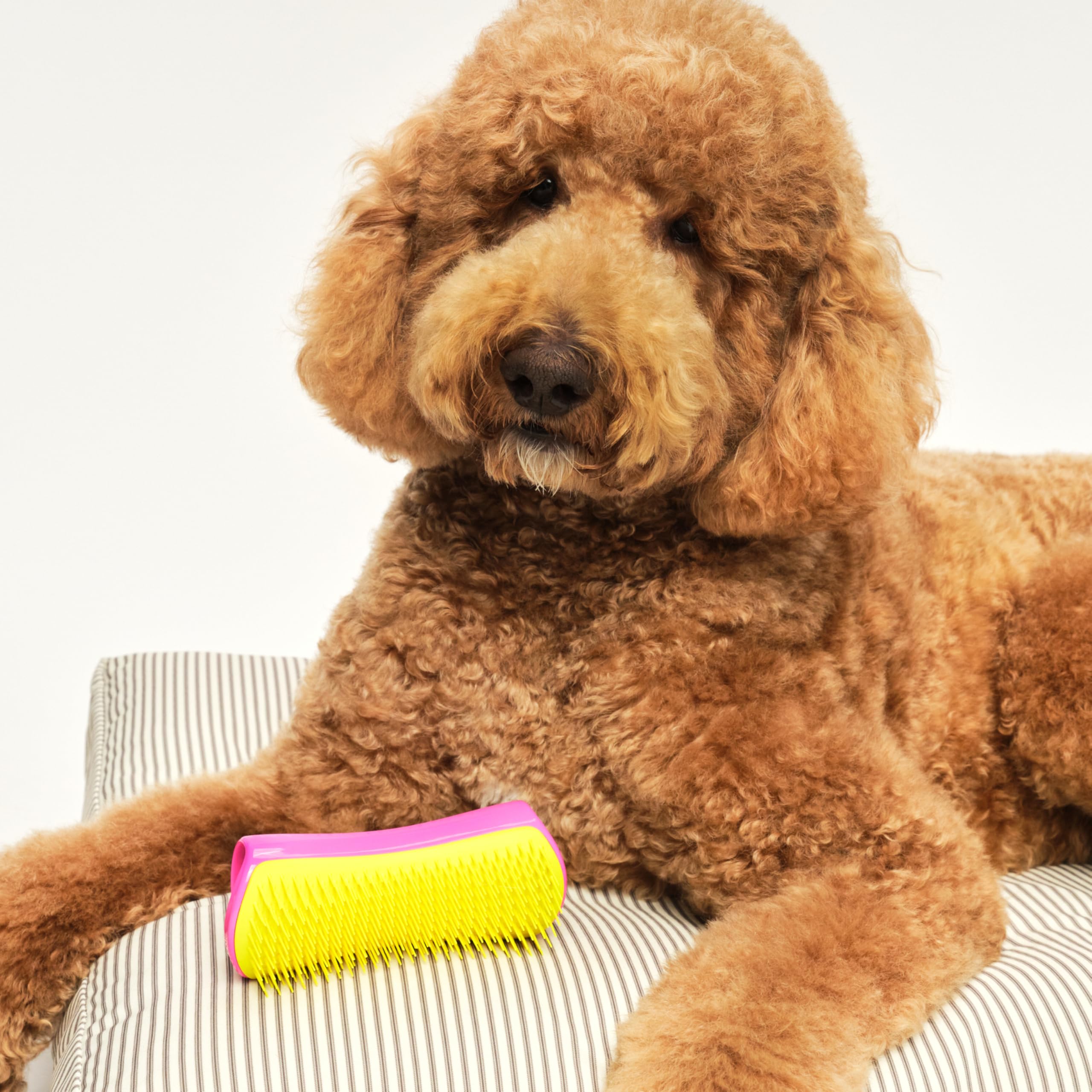Tangle Teezer Large Pet Teezer Detangling - Szczotka do czesania na sucho lub do kąpieli - Idealna szczotka do rozczesywania sierści psów - Różowo-żółta