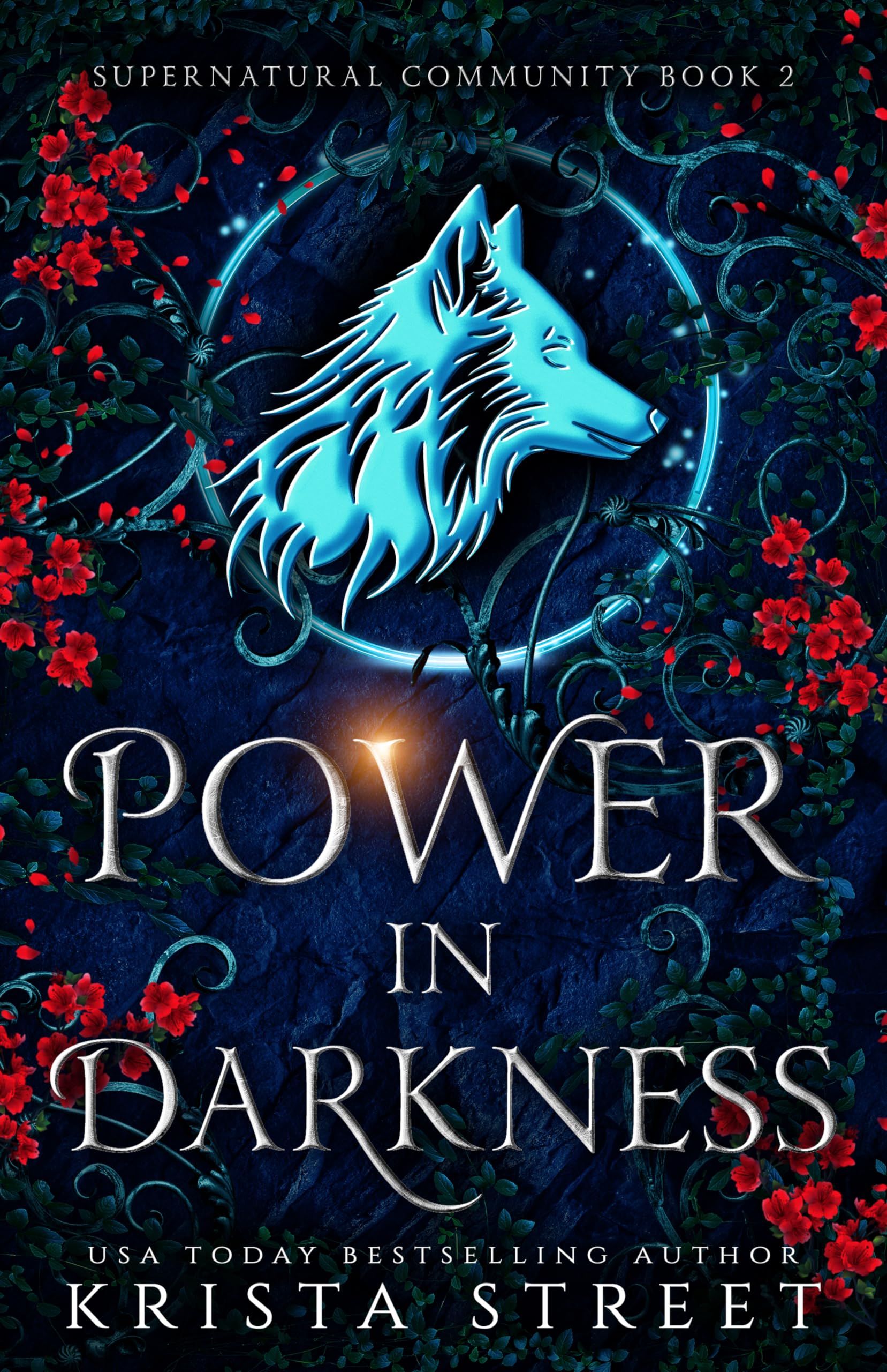 Power in Darkness (Supernatural Community Book 2)