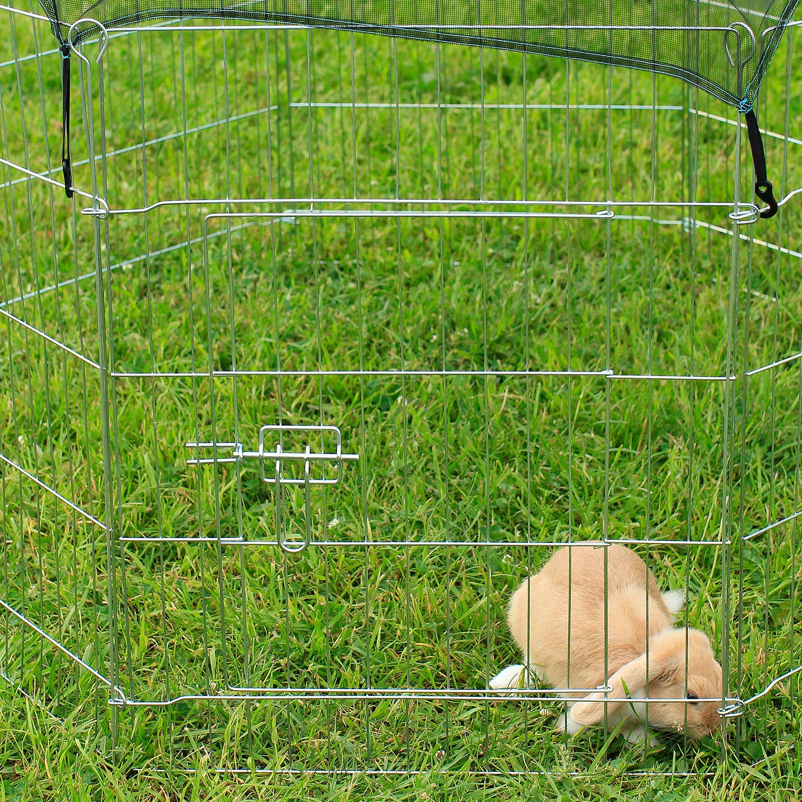 lionto Recinto per Cani Gatti Cuccioli Gabbia per Animali di Piccola Taglia, (L) 59x78 cm