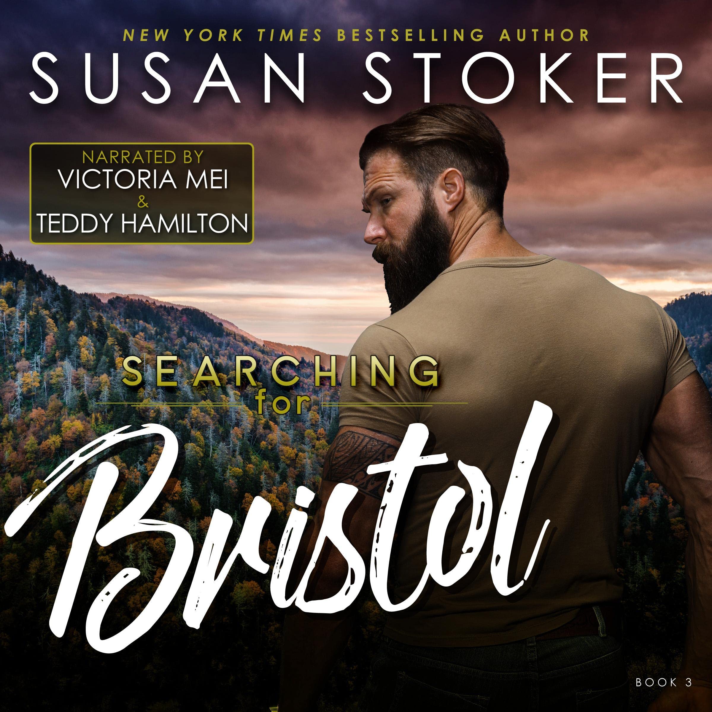 Cover art for Searching for Bristol