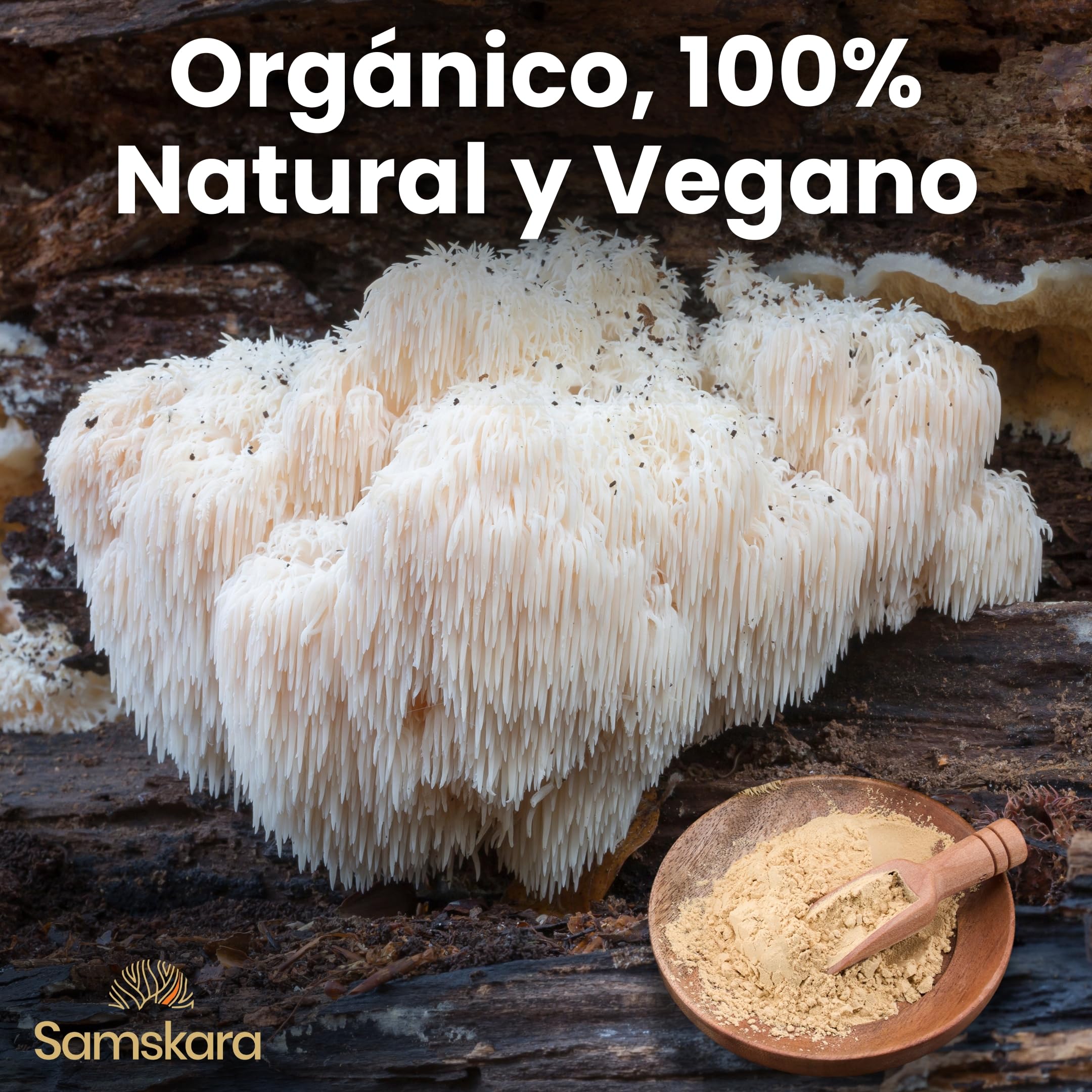 Samskara Complejo de Setas Hongos Medicinales en Polvo BIO | Reishi, Chaga, Maitake, Shiitake, Cordyceps, Melena de León | Mushroom Complex con Minerales | Frescura Garantizada (250 gr, Sin sabor)
