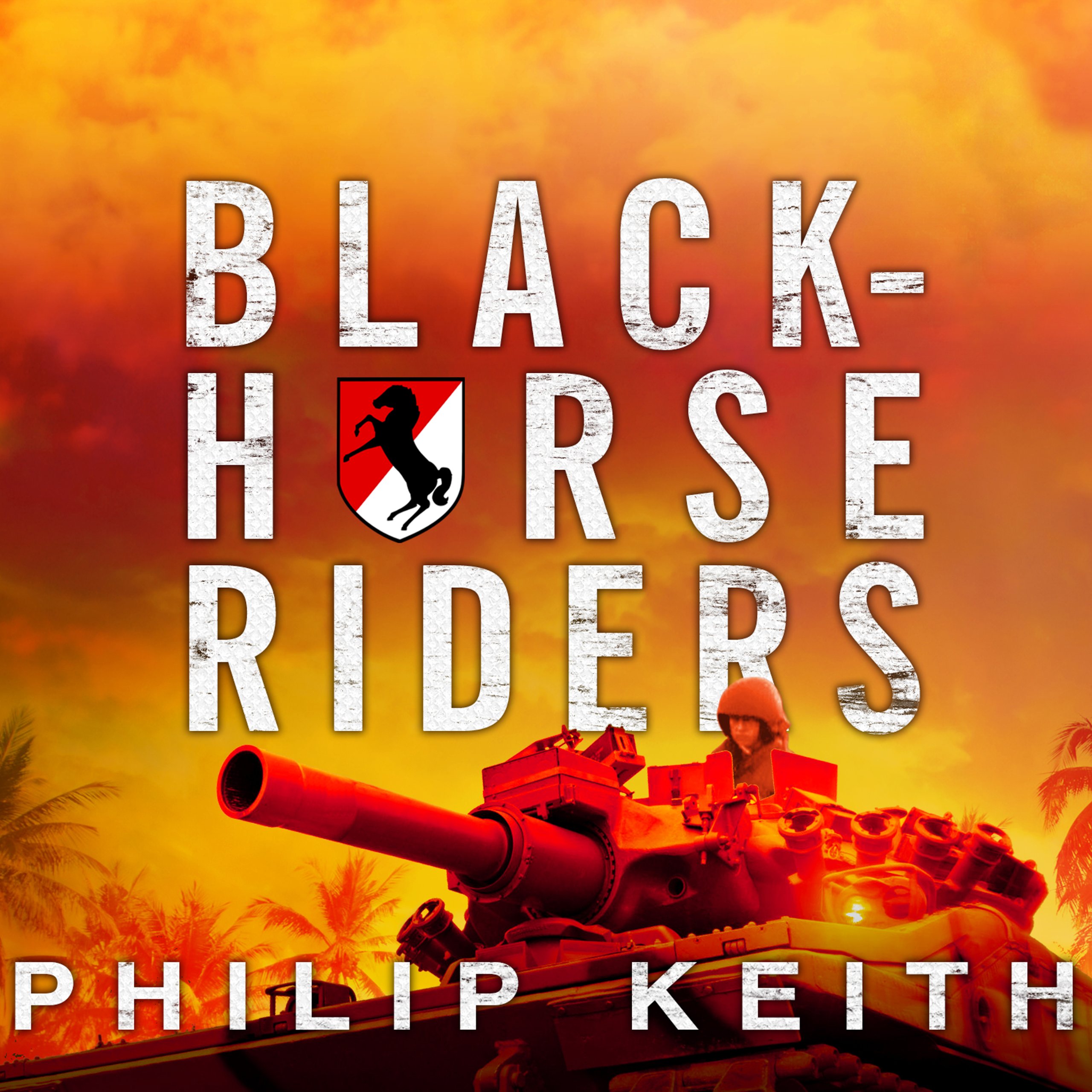 Cover art for Blackhorse Riders
