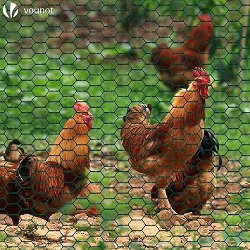 VOUNOT Chicken Wire Mesh Roll, PVC Coated Hexagonal Wire Mesh Fencing, Wire Poultry Netting, 1m x 50m, Hole Size: 25mm, Green