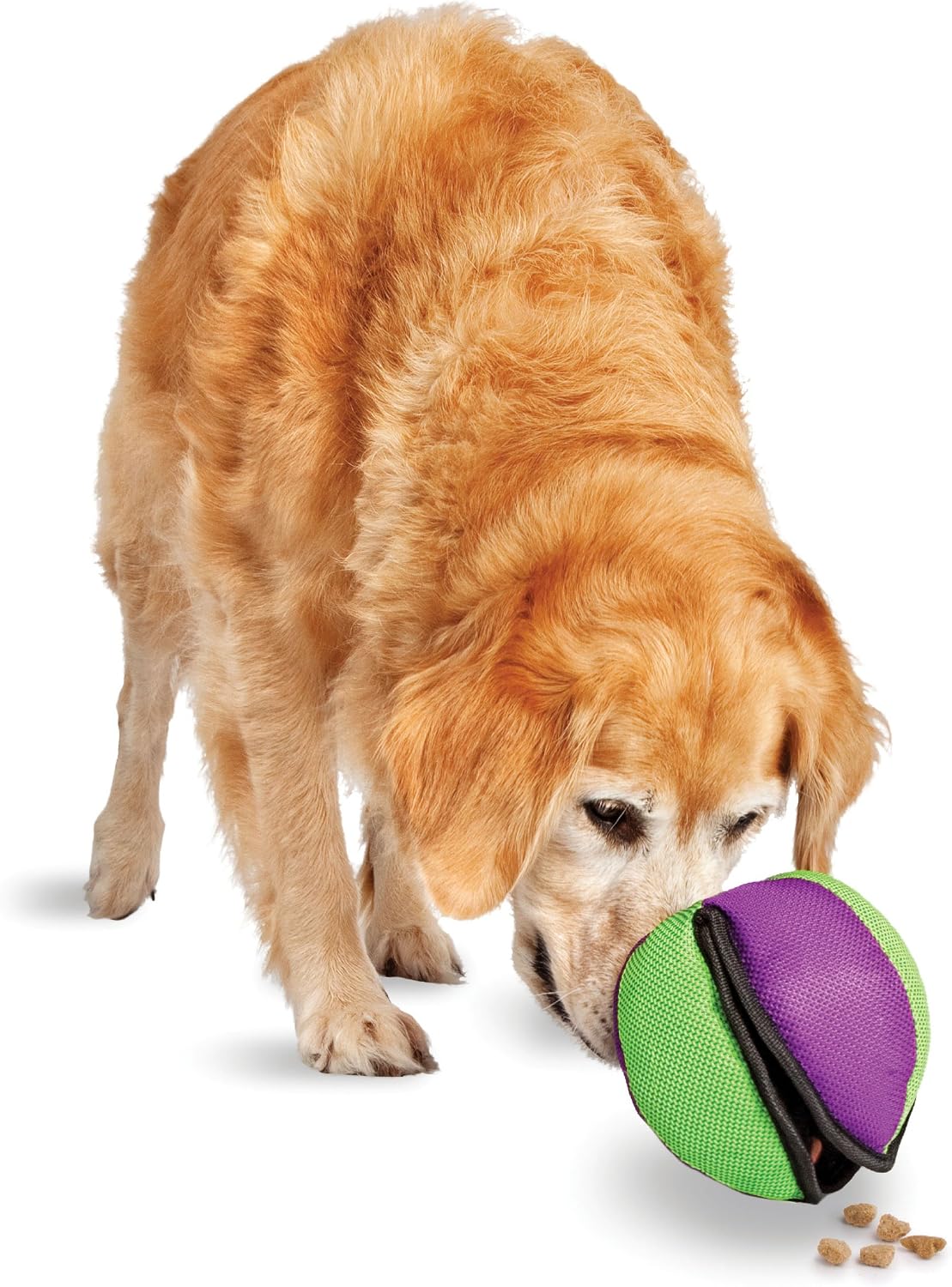 Petsafe Rip 'N Tug Lotus Dog Toy, Small
