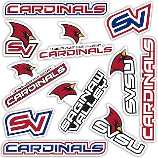 Desert Cactus Saginaw Valley State University Sticker SVSU Cardinals Sticker Vinyl Decals Laptop Water Bottle Car Scrapbook Sheet T2 (Type 2)