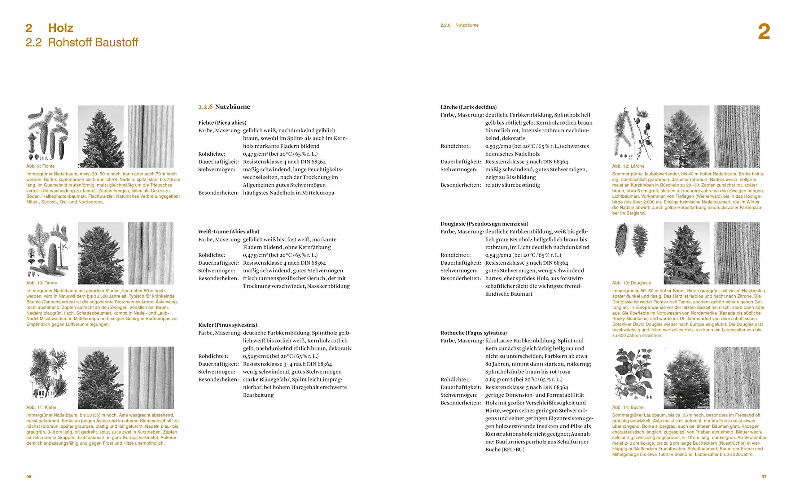 Baukonstruktion und Bauphysik: Handbuch und Planungshilfe