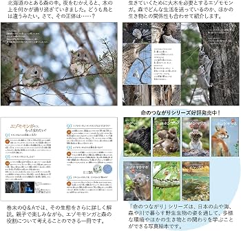 Amazon.co.jp: 森でつながる エゾモモンガ (命のつながり 8) : 原田佳