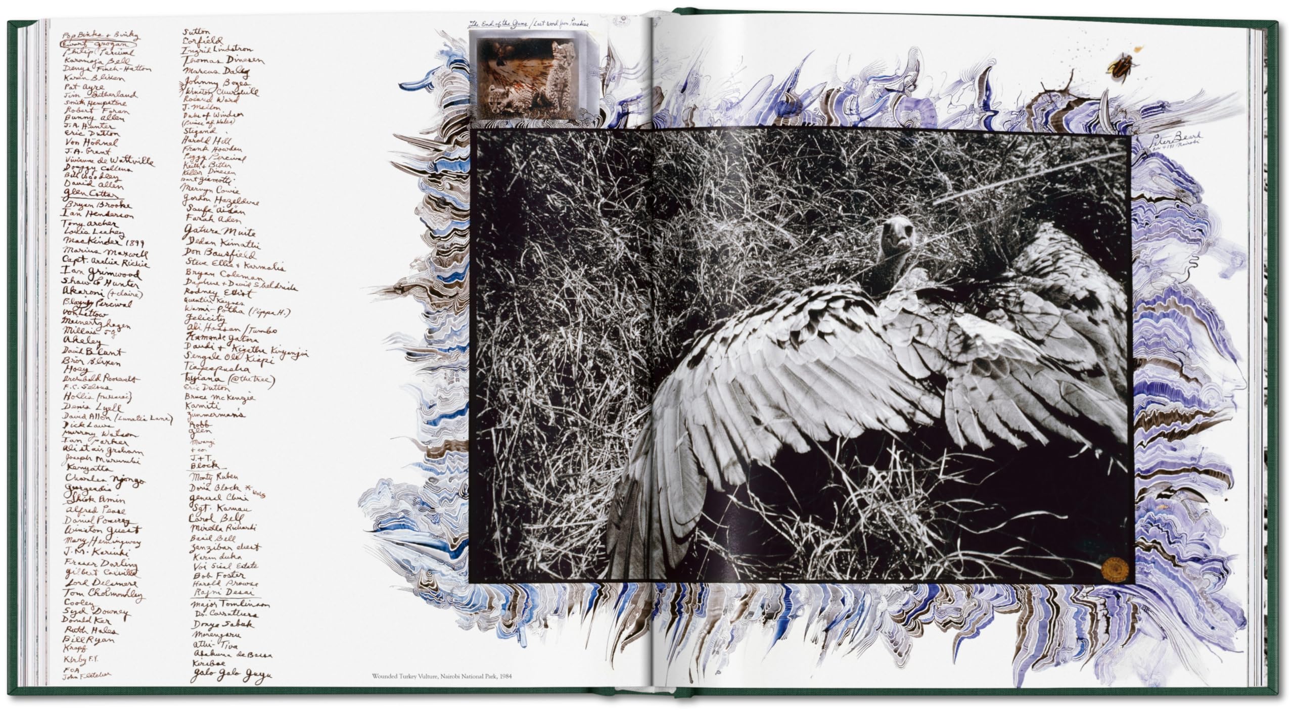 Peter Beard: The End of the Game
