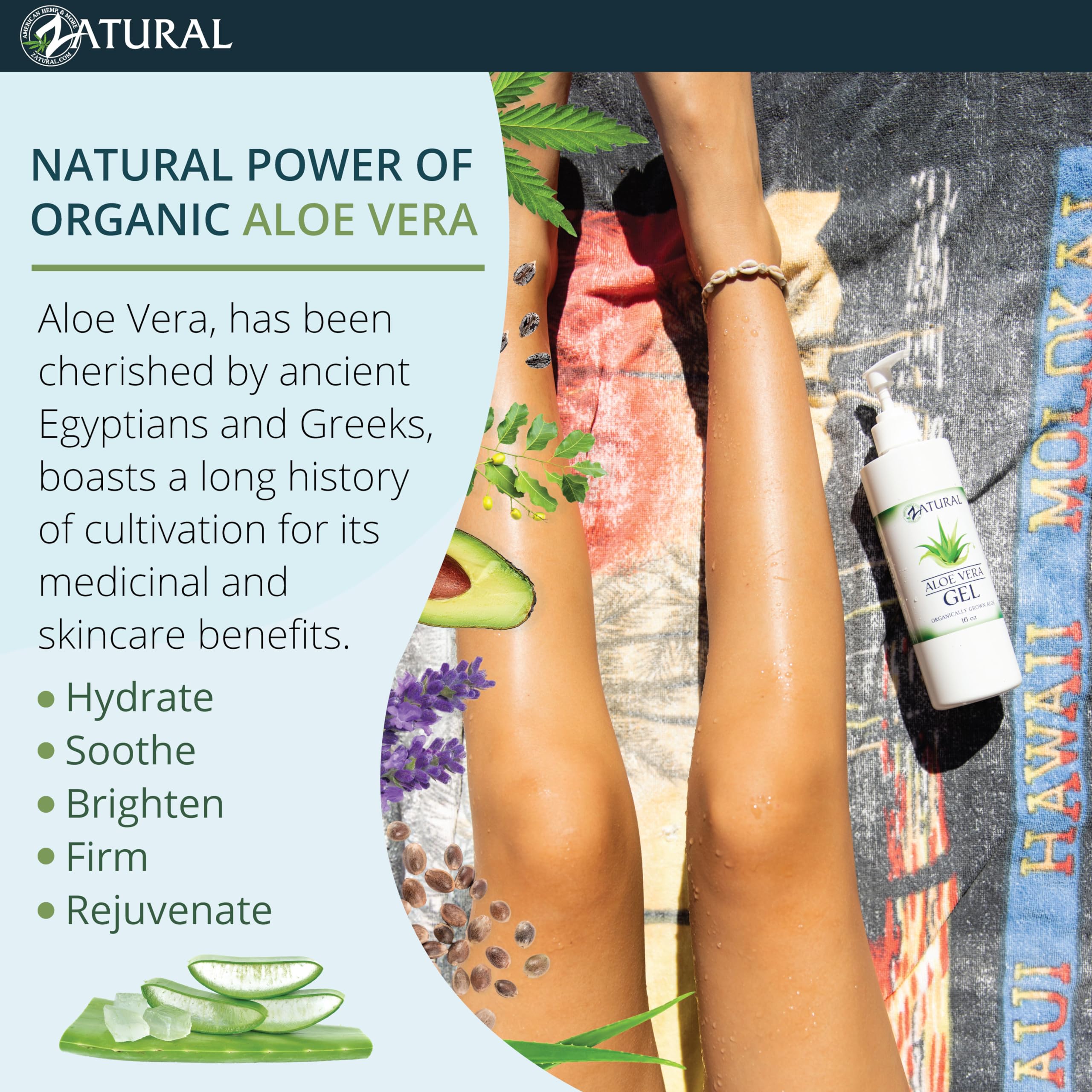 Amazon.com : Zatural Aloe Vera Gel | Natural Scent, Lightweight Body  Moisturizer & Skin Conditioner | Fast Absorbing Cosmetic Gel (16 Fl Oz) :  Beauty & Personal Care