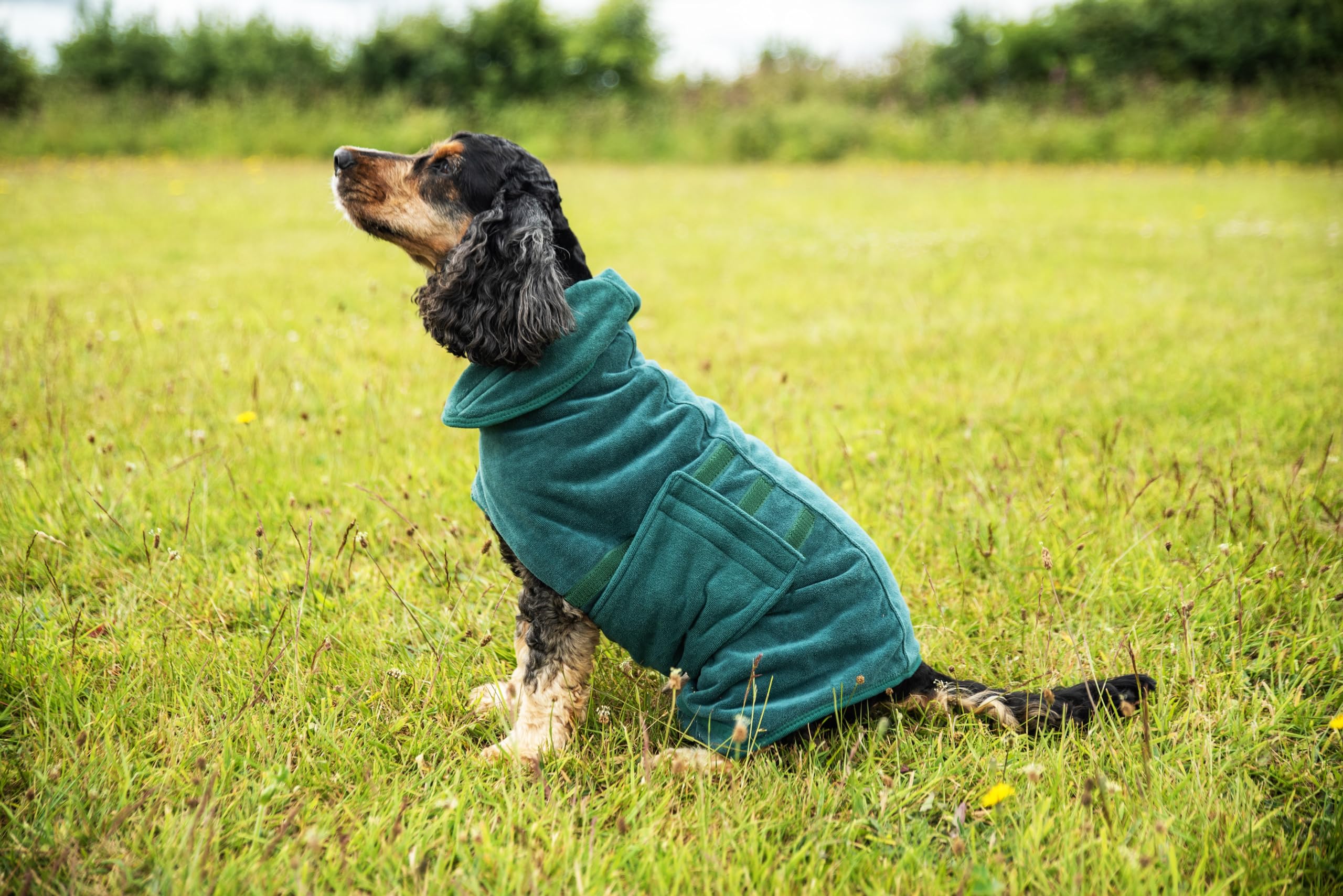 Mountain Paws Peignoir de séchage pour Chien | Serviette en Microfibre | Peignoir Super Absorbant pour Chien ou Chiot avec col/Capuche réglable et Sangle de Ventre | Super Doux | Séchage Rapide