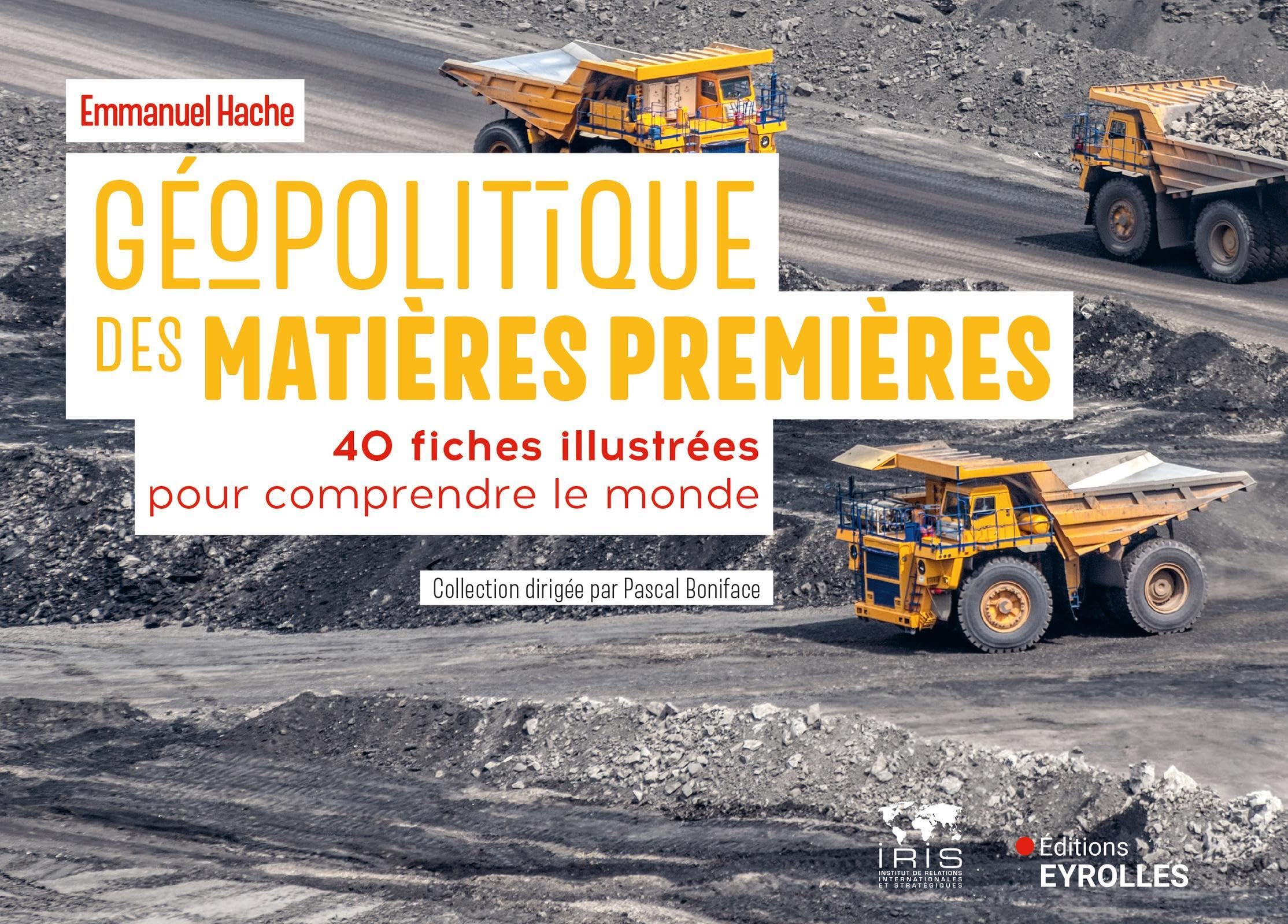 Géopolitique des matières premières: 40 fiches illustrées pour comprendre le monde