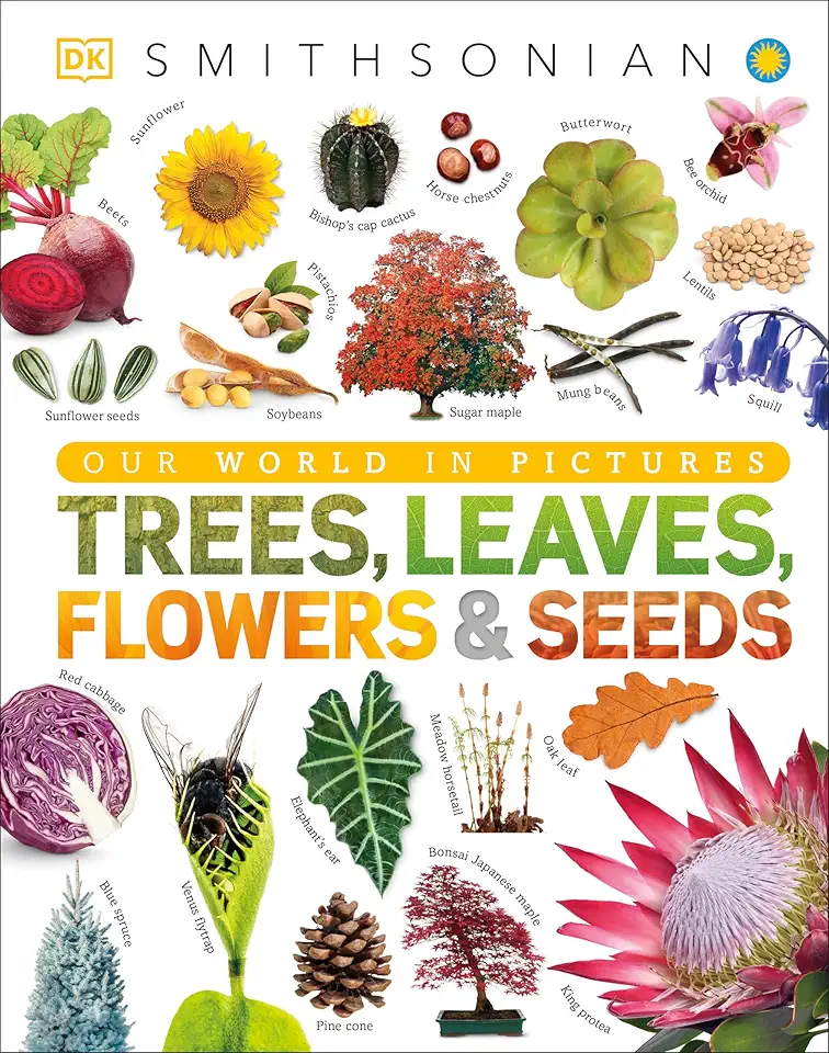 Trees, Leaves, Flowers and Seeds: A Visual Encyclopedia of the Plant Kingdom (DK Our World in Pictures)