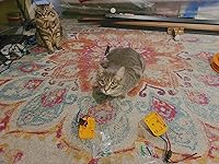 Review Image by NorkDorf Entertainment NorkDorf Entertainment