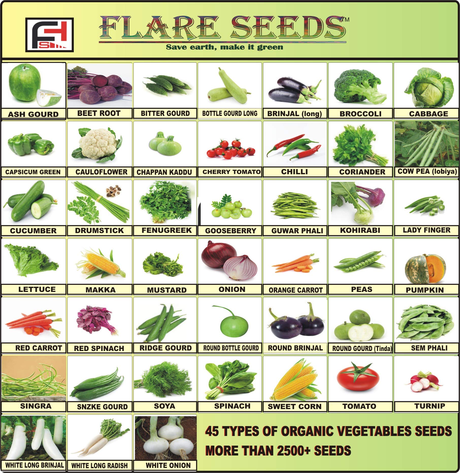 FLARE SEEDS 45 Varities of Vegetables Seeds 2500+ Seeds With Instruction Manual (B08CS2TXD2) Amazon Price History, Amazon Price Tracker