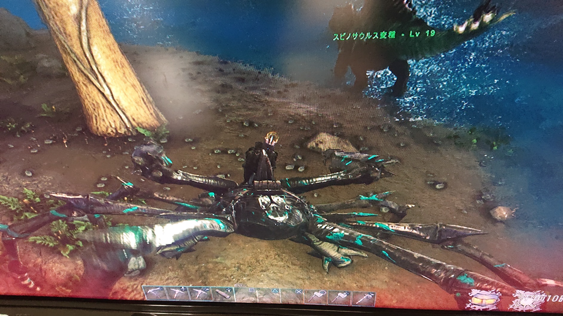 お客様イメージ