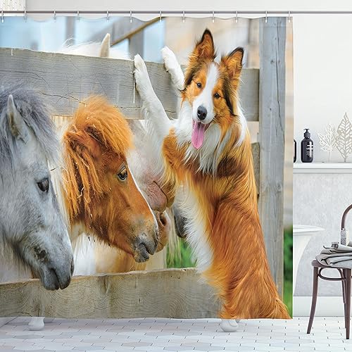 Ambesonne Cortina de ducha de naturaleza, Pony y Border Collie Dog están saliendo con la naturaleza temática de compañerismo de amistad, Juego de