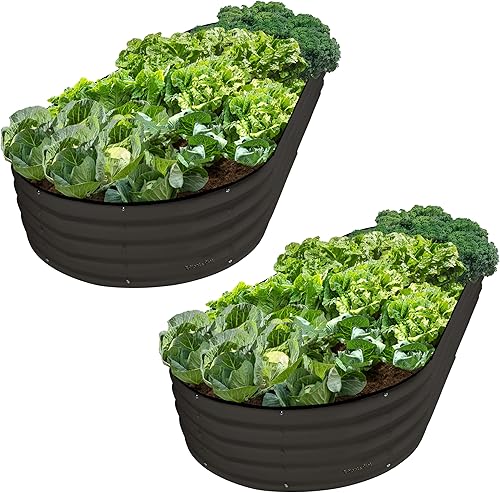 Vista 21 de Plant & Plot Camas de jardín elevadas galvanizadas para exteriores/ Jardinera elevada de 6 x 3 x 1 pie para jardinería, verduras, flores, caja