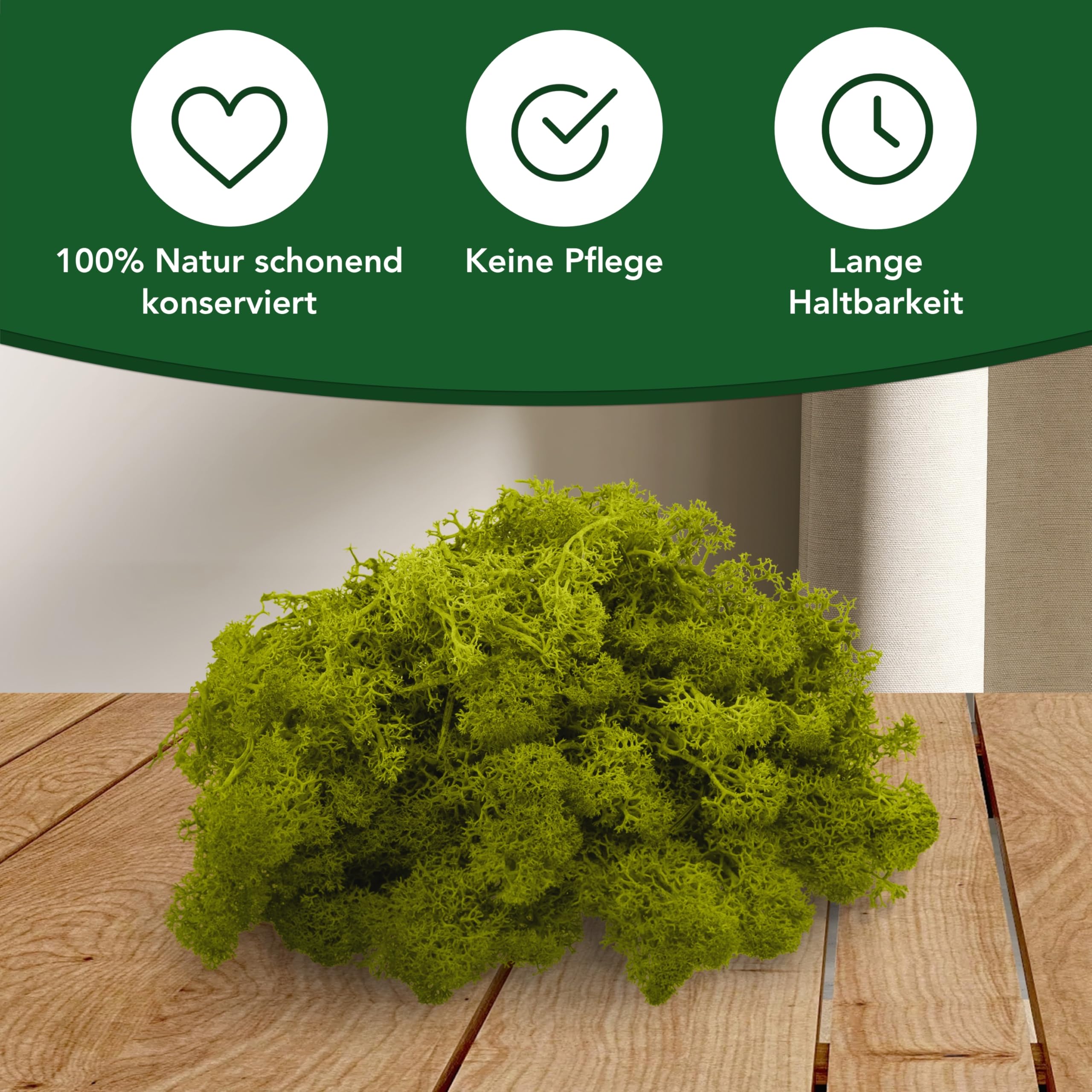 Sphagnum-Shop - Mousse de rennes préservée - Vert jaune - 500 g - Véritable mousse décorative colorée pour image de mousse, modélisme, bricolage