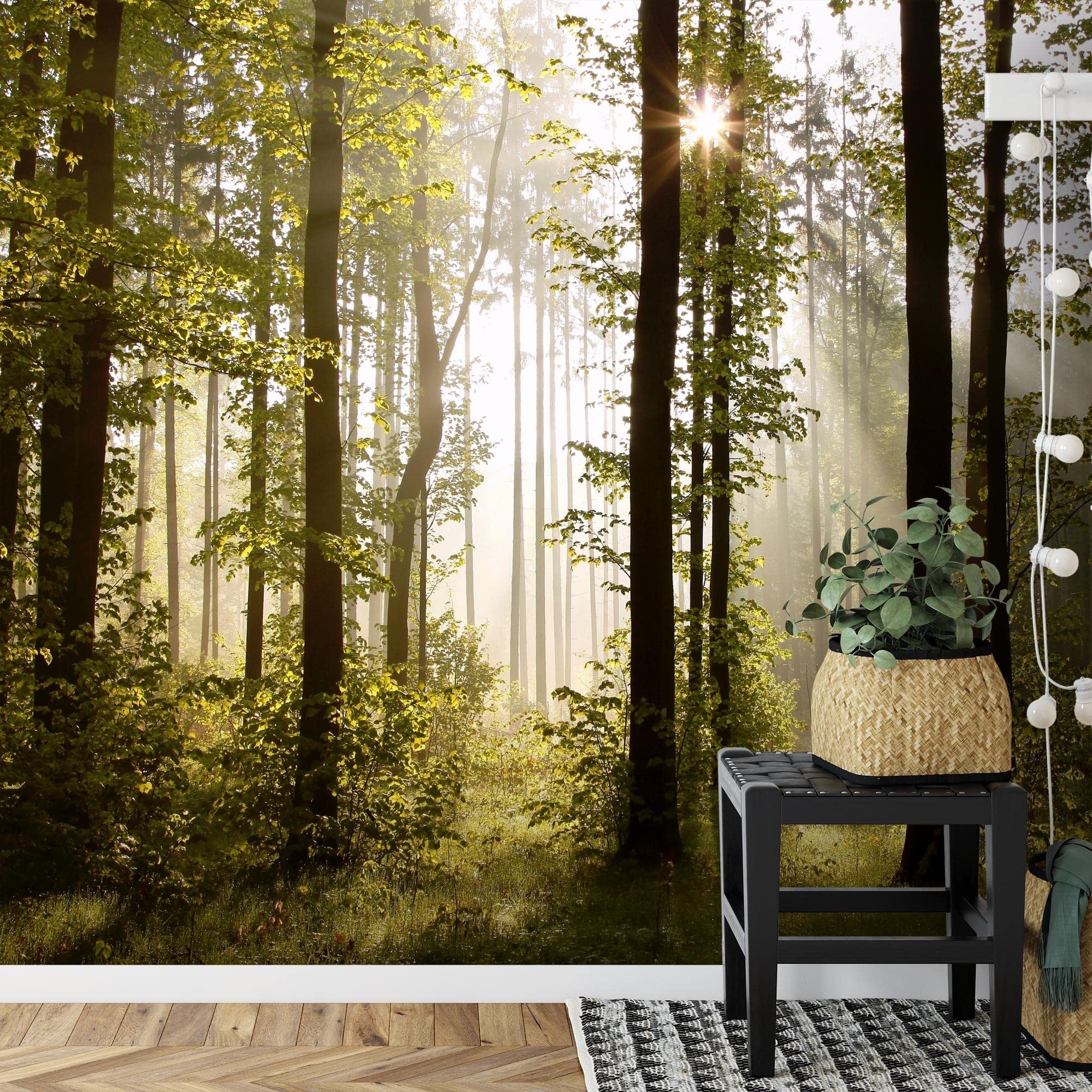 Runa Art Carta da parati fotografica 396 x 280 cm Forest Landscape Sun | Vello Decorazione Murale Soggiorno Camera Da Letto | Manifattura tedesca | verde Brown 9010012a
