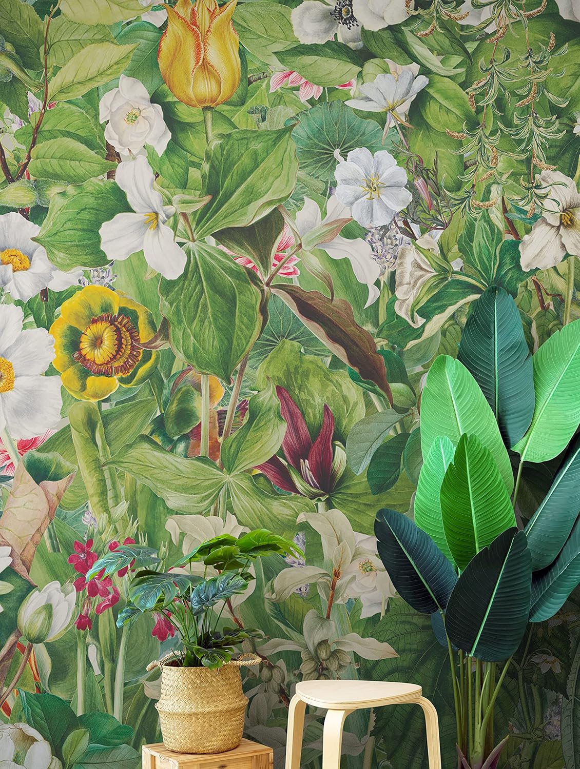 Botanical Vegetation Garden Wall Mural. Color Pencil Artwork of Flower Garden Peel and Stick Wallpaper. Rainforest Jungle Botanical Flowers and Leafs Background. #6449 (9ft Tall X 8ft Wide)