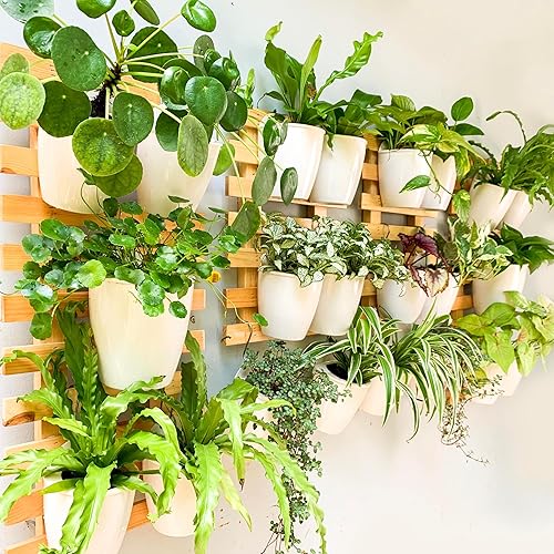 Miniatura 8 de LaLaGreen - Macetas de pared para plantas de interior, paquete de 10 macetas y macetas de plástico de riego automático de 4 pulgadas, soporte