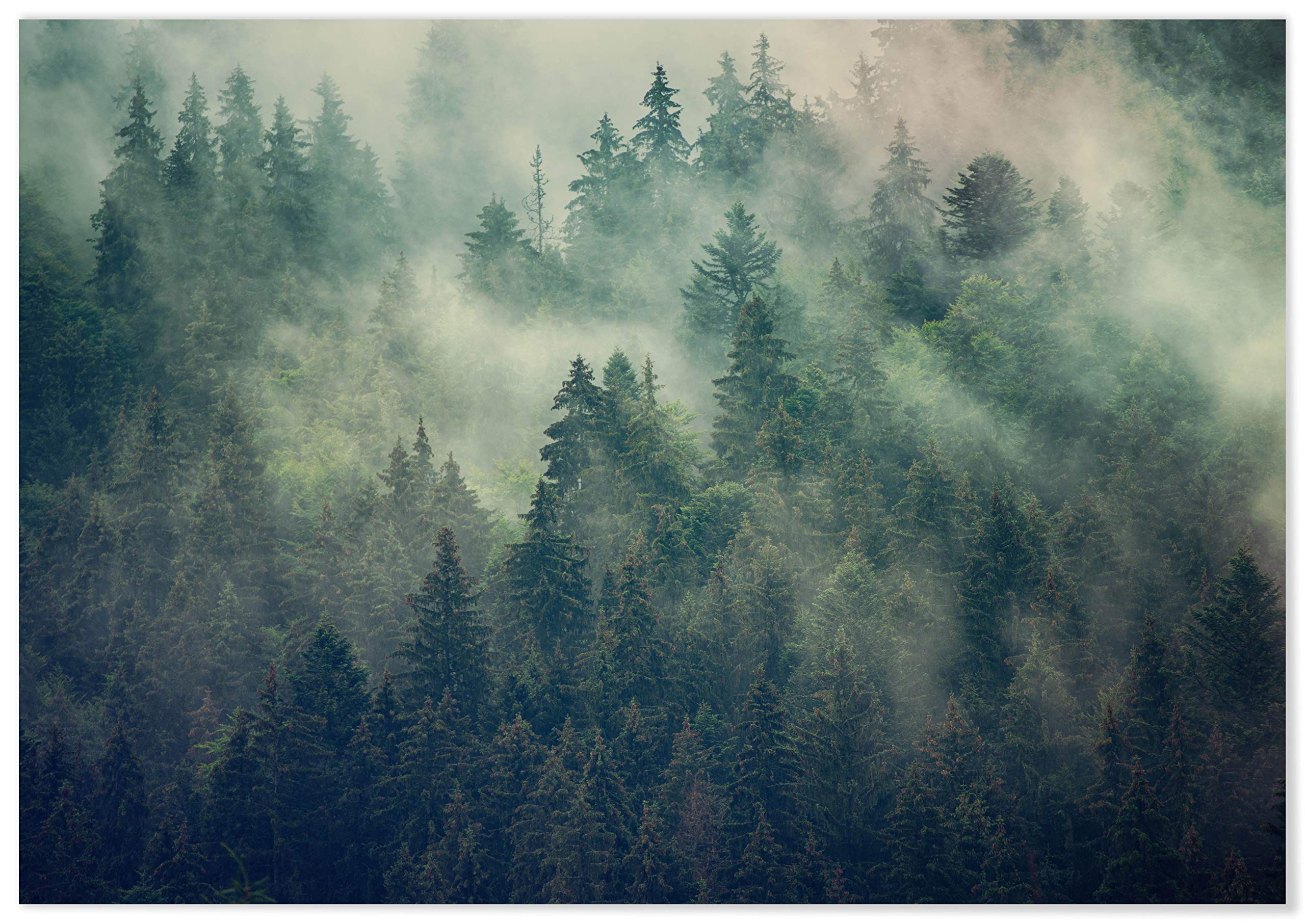 Panorama Quadro su Tela Canvas Stampe da Parete Foresta con Nebbia 100 x 70 cm - Telaio in Legno Incluso - Quadri Moderni Soggiorno